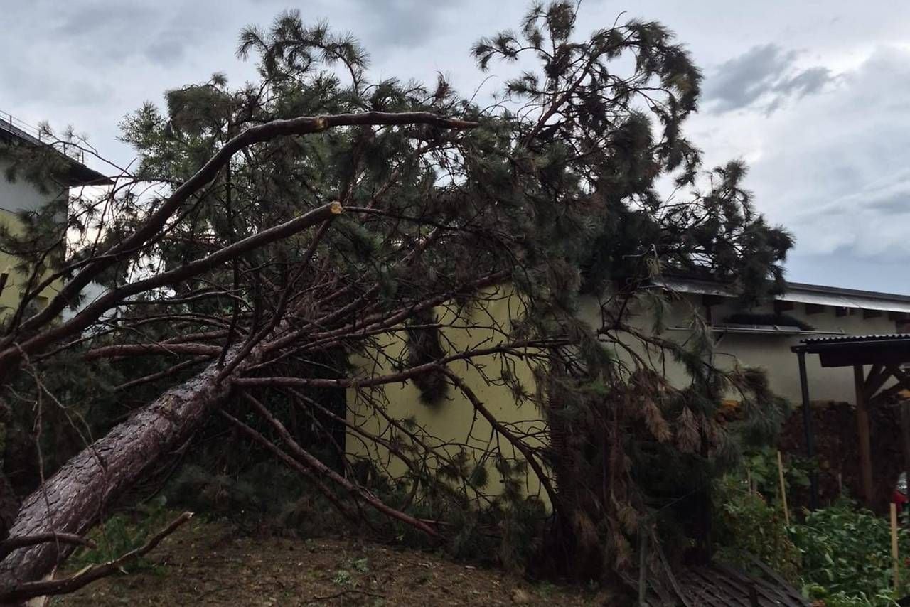 Ein umgestürzter Baum liegt auf einem Hausdach vor bewölktem Himmel.