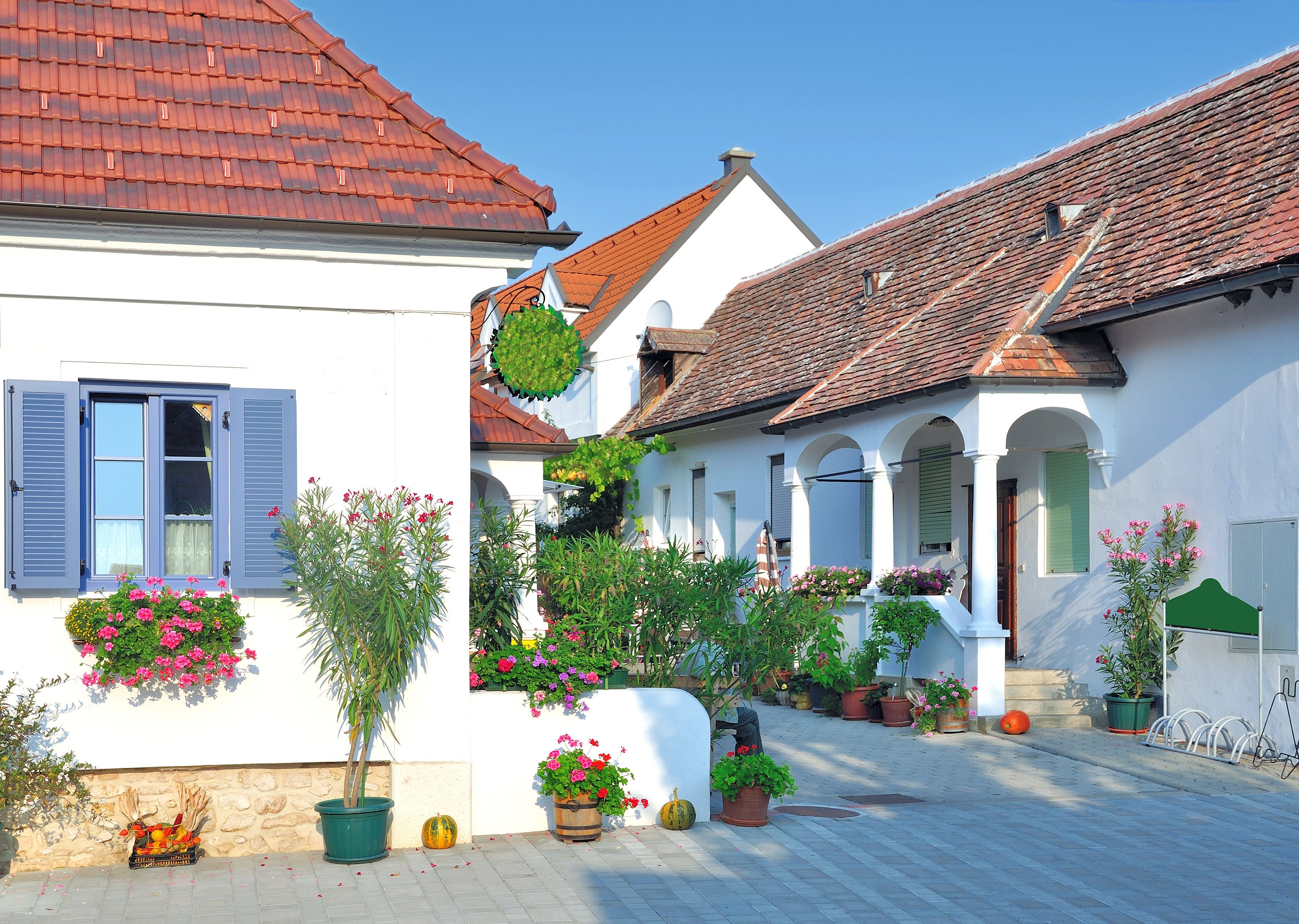 Gepflegte Gasse mit weißen Häusern, roten Dächern und bunten Blumen in Mörbisch, Österreich.