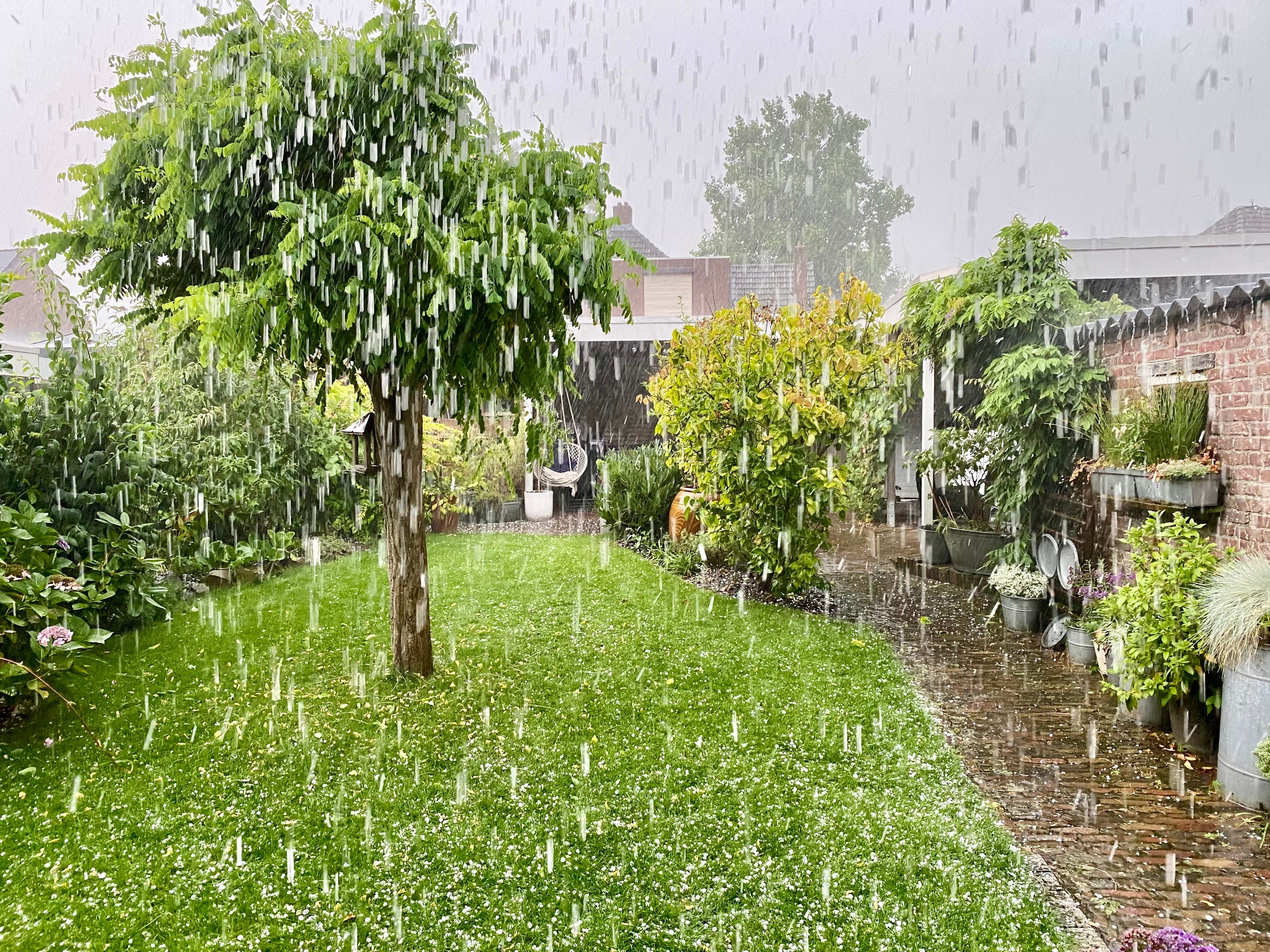 Garten mit Bäumen und Pflanzen während eines starken Hagelschauers.