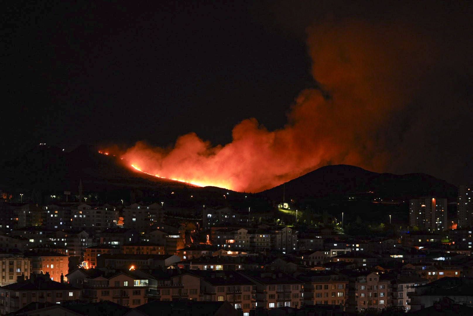 Großes Feuer mit starker Rauchentwicklung in einem Waldgebiet nahe Wohnhäusern bei Nacht.