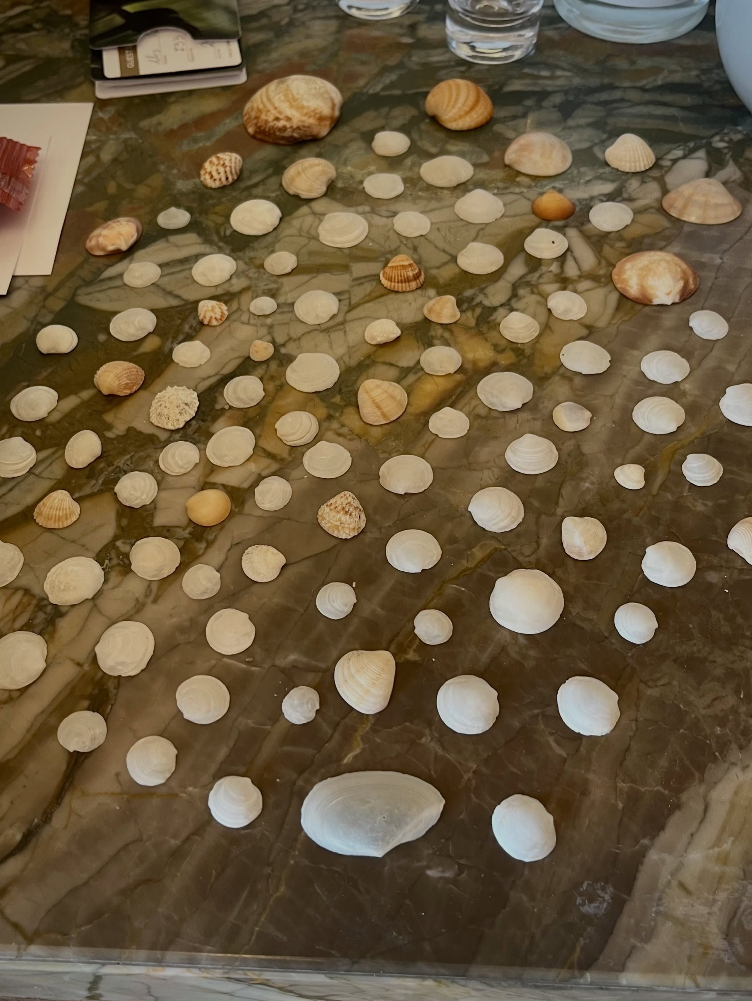 Muscheln
