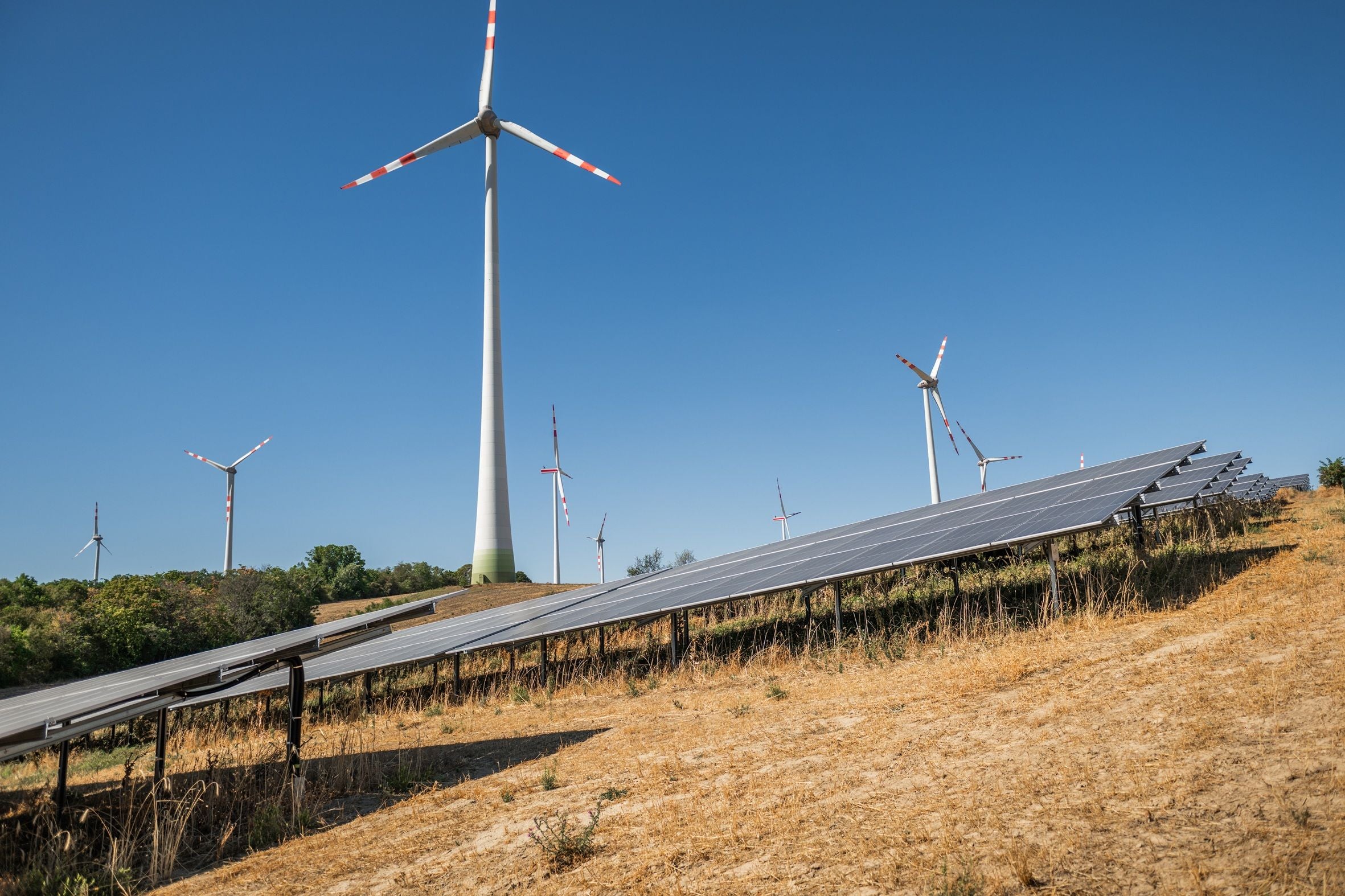 Solarmodule und Windräder auf einem trockenen Feld unter blauem Himmel.