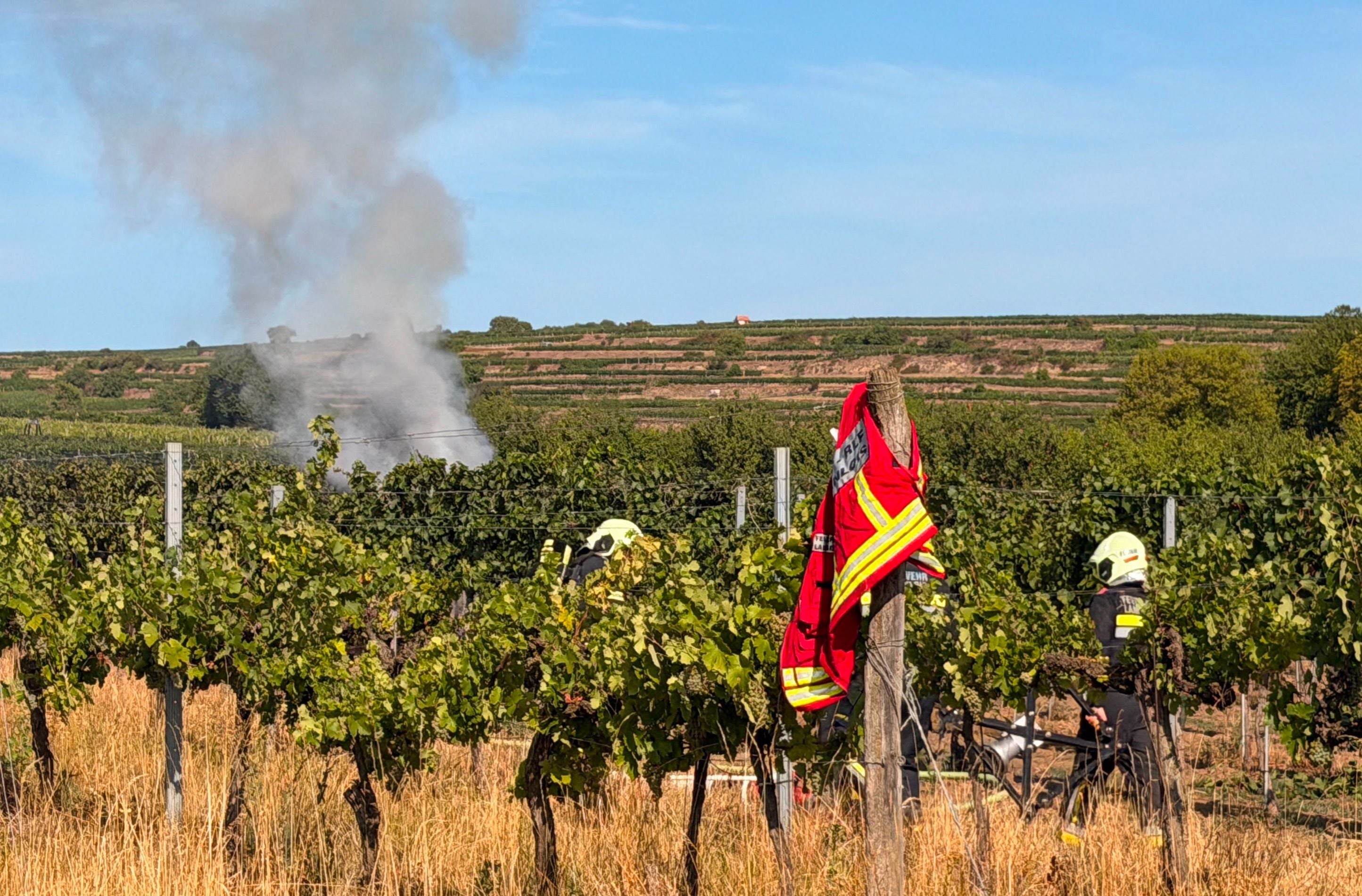 Feuerwehrleute bekämpfen einen Brand im Weingarten, Rauch steigt im Hintergrund auf.