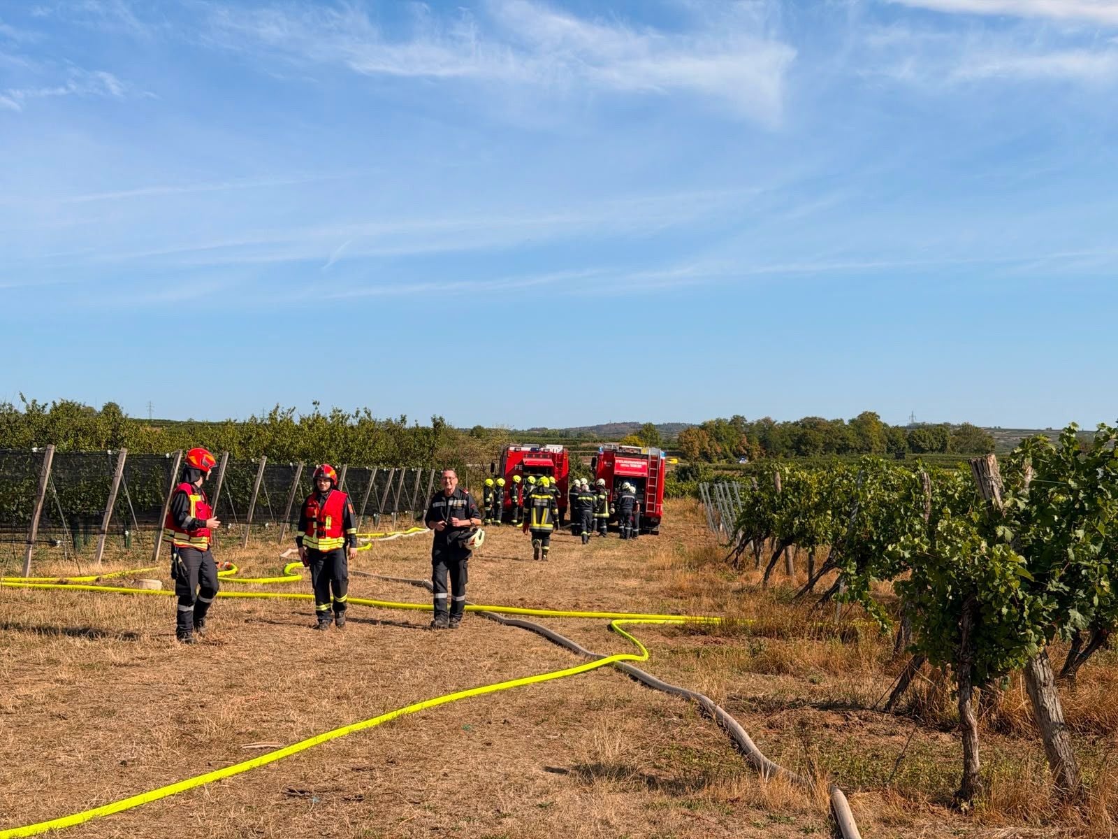 Feuerwehrleute mit Ausrüstung und zwei Feuerwehrautos in einem Weingarten bei Krems.