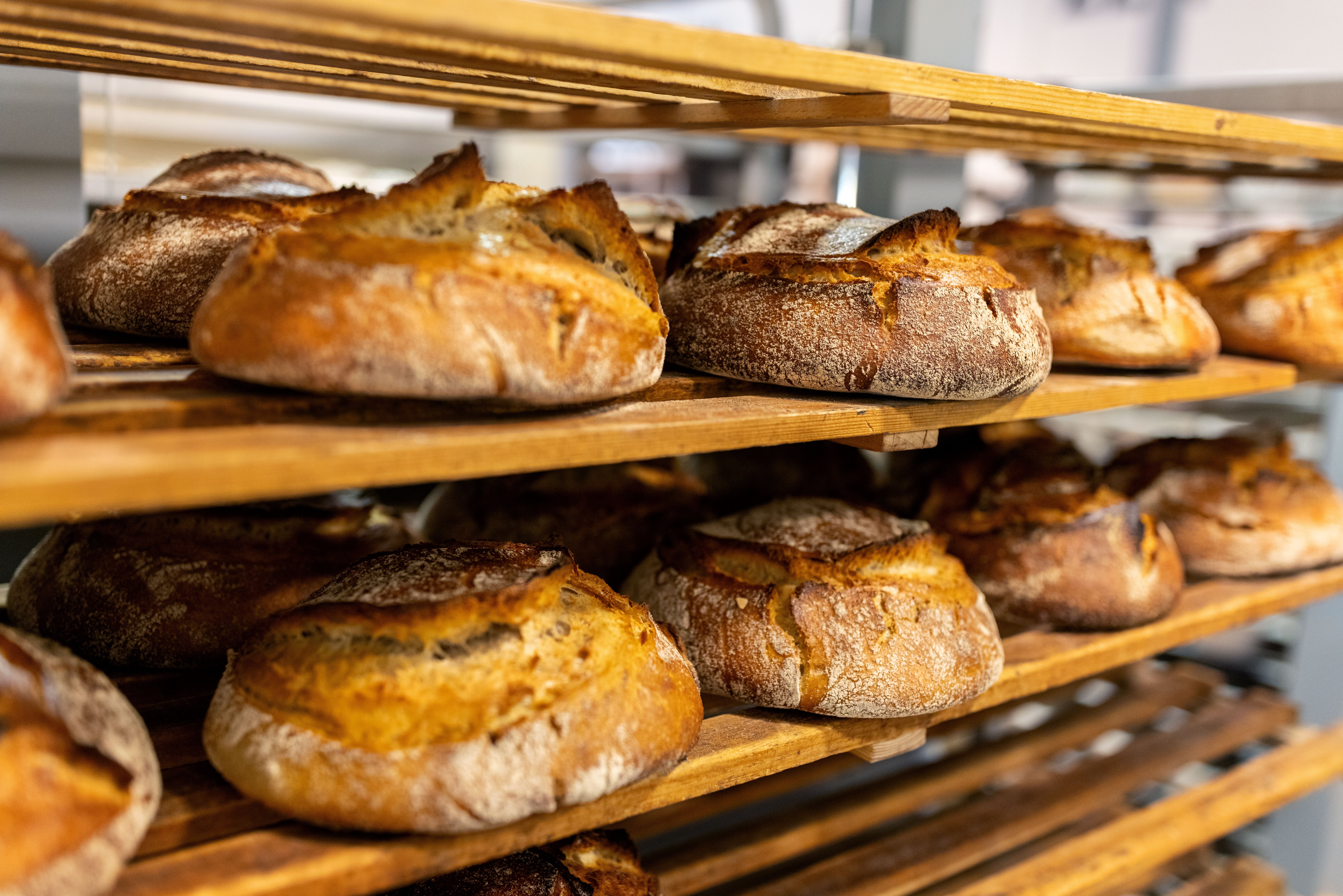 Frisch gebackene Brote mit goldener Kruste kühlen auf Holzregalen in einer Bäckerei ab.
