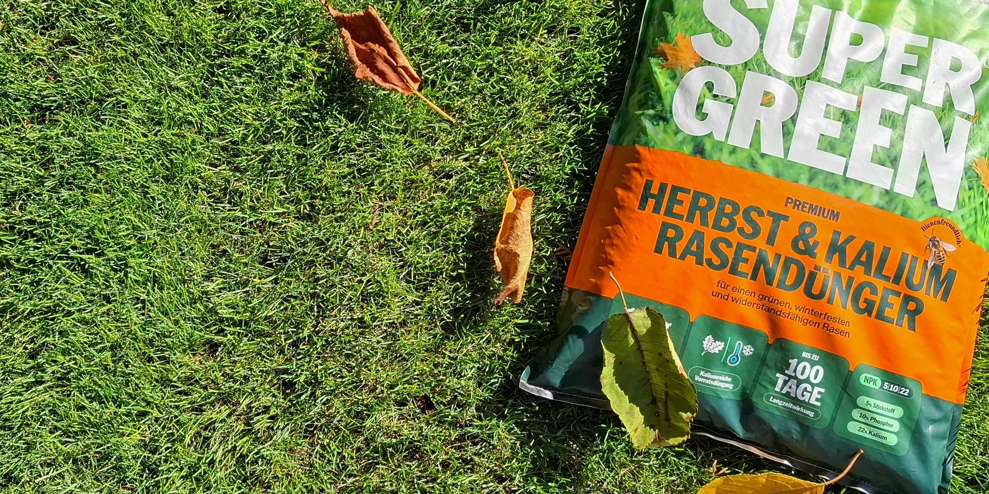 Packung Supergreen Herbst- und Kalium-Rasendünger liegt auf grünem Rasen mit Herbstlaub.