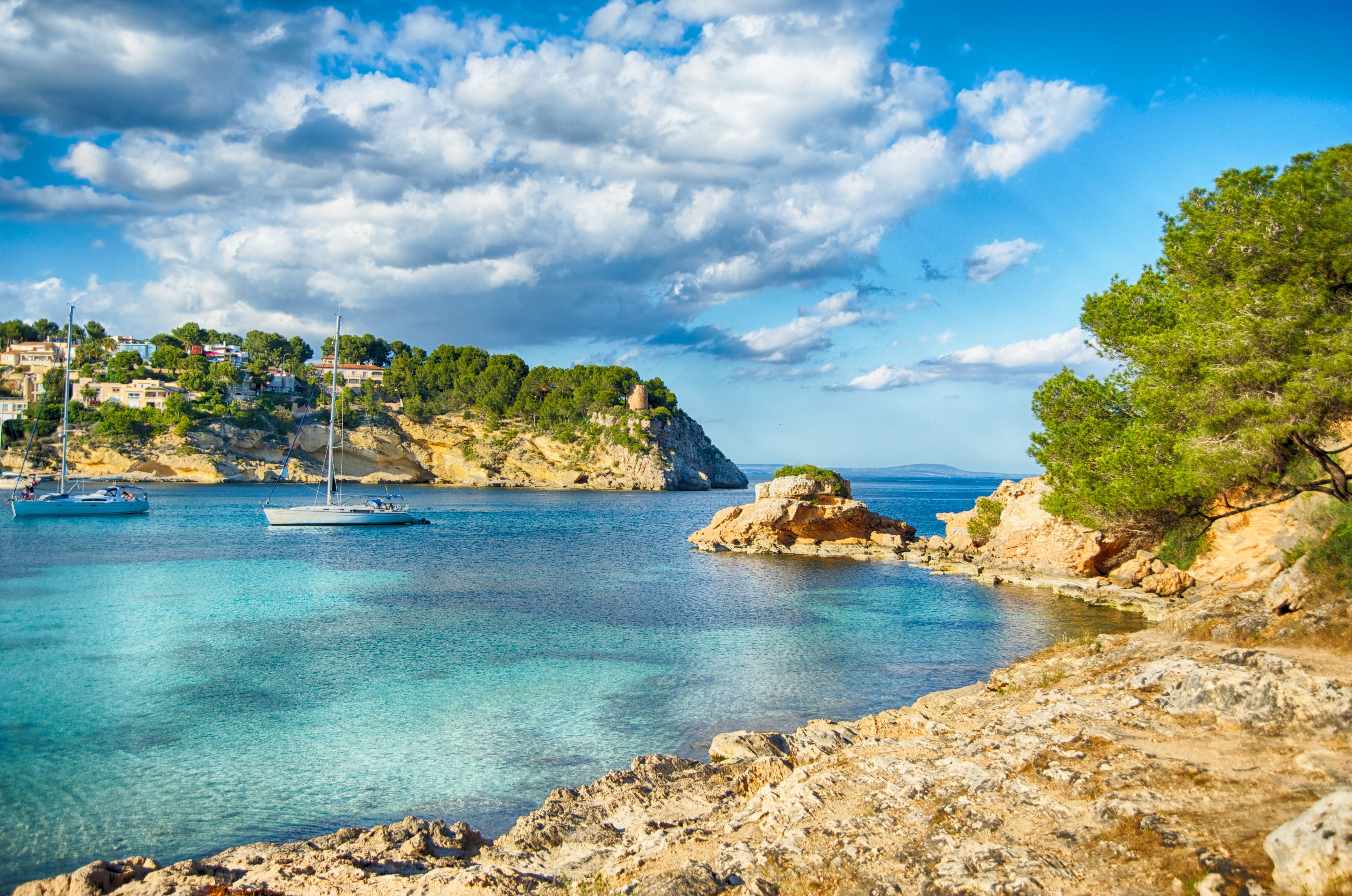 Klares blaues Meer auf Mallorca, einige Segelboote und felsige Küste mit Bäumen im Vordergrund.