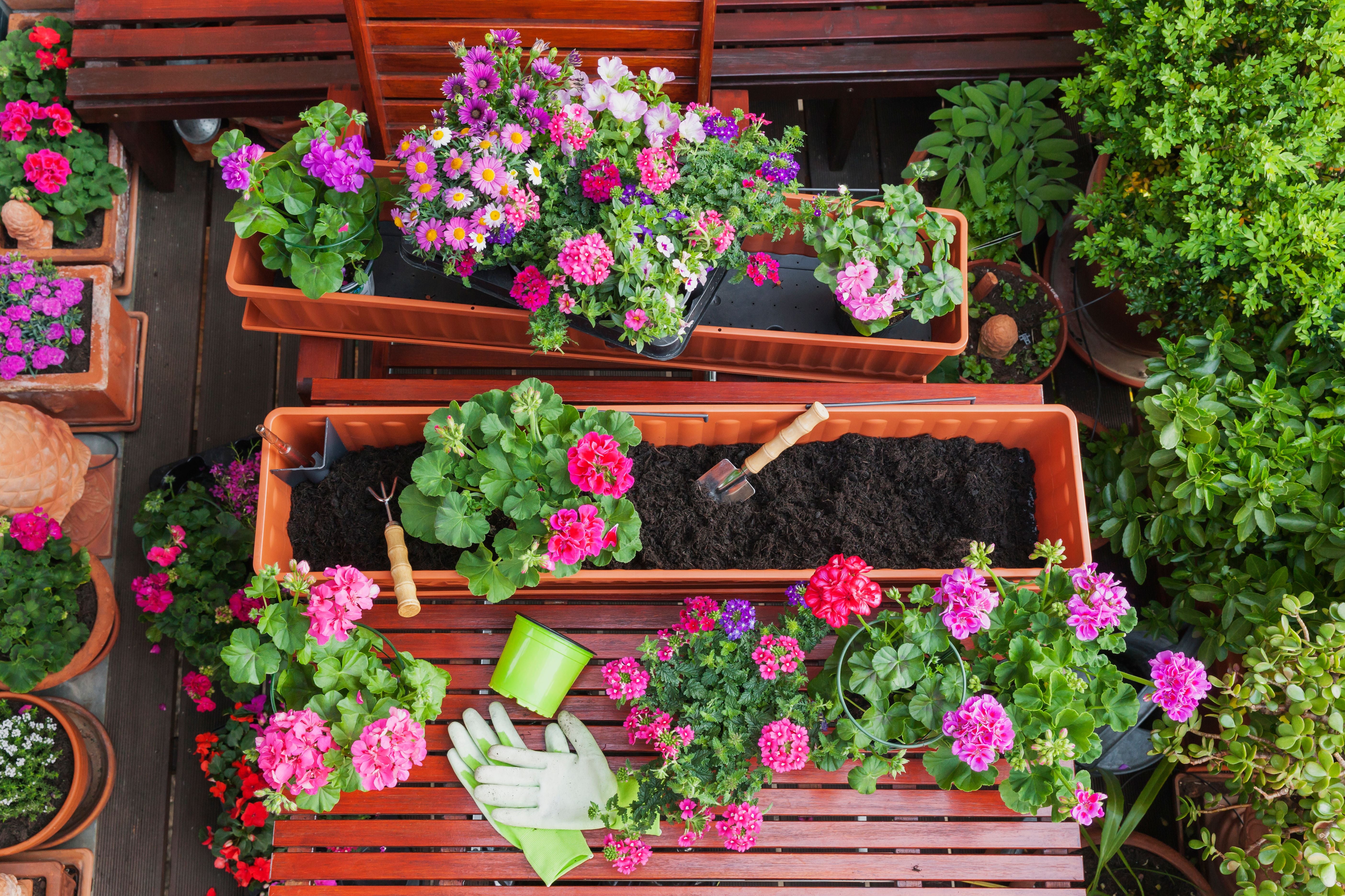 Balkon mit bunten Blumen in Kästen, Gartengeräten und Handschuhen auf Holztisch.
