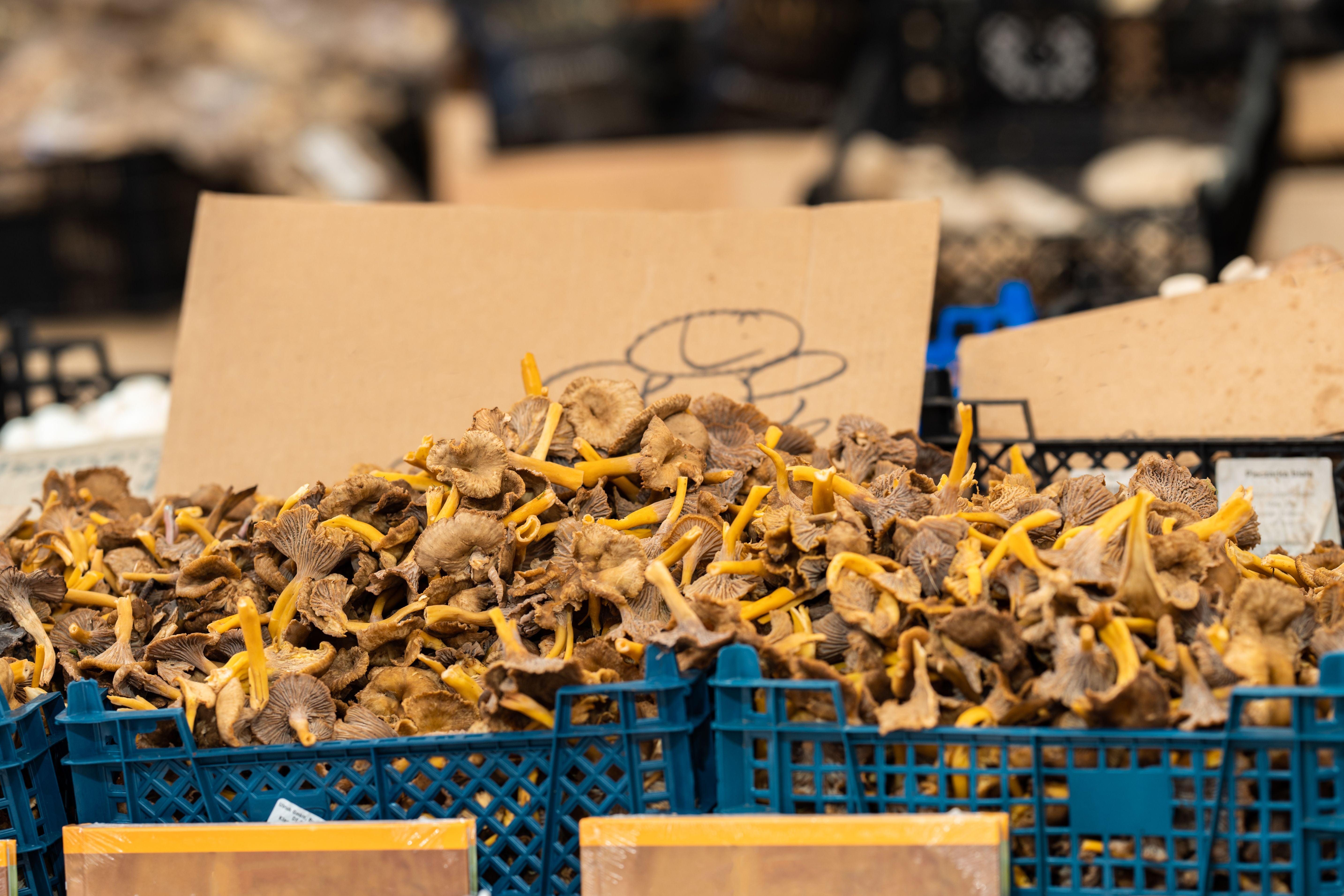 Braune Pilze mit gelben Stielen liegen in blauen Körben auf einem Marktstand.