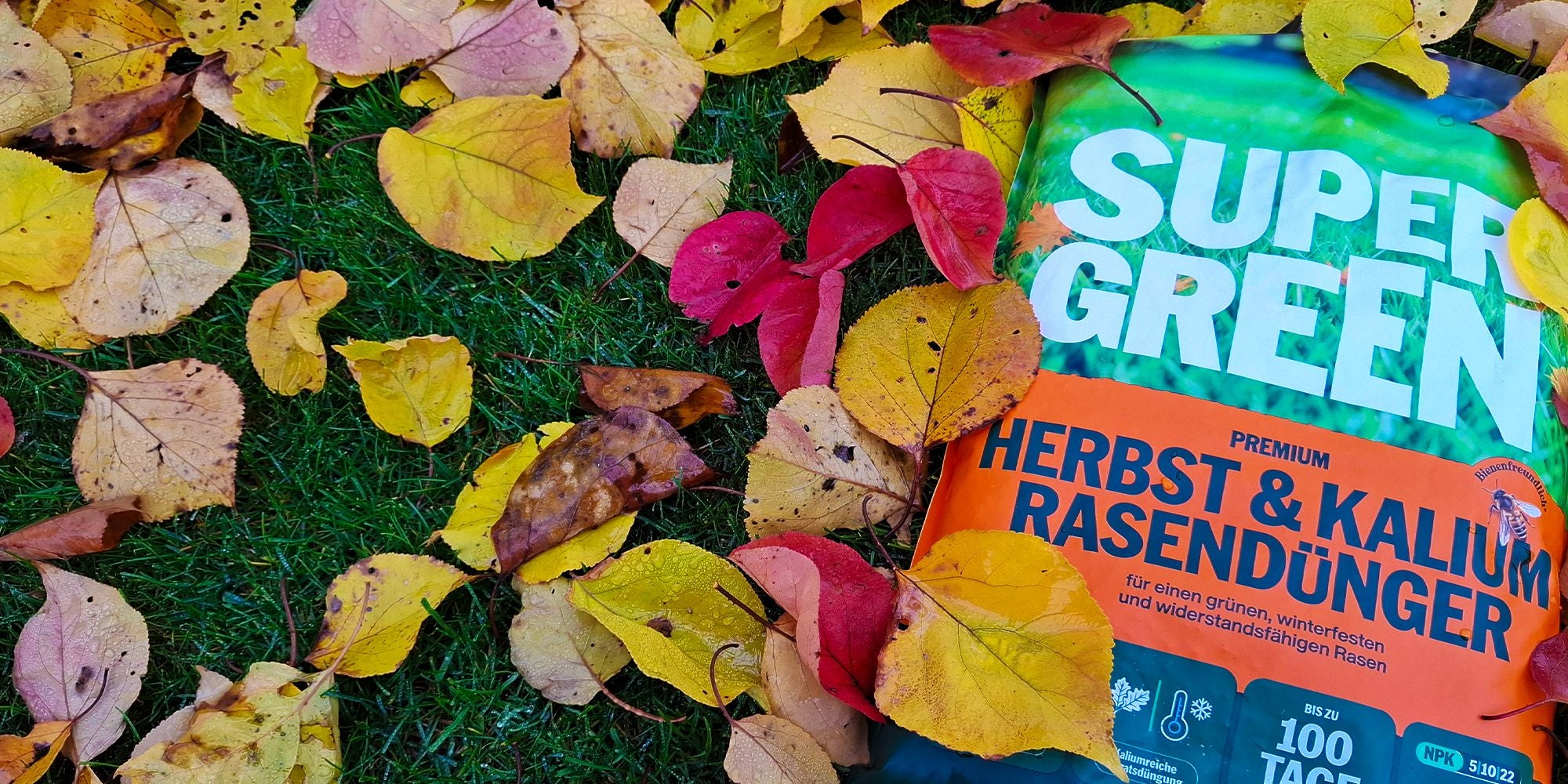 Herbstdünger-Packung auf einer Wiese mit bunten Herbstblättern.