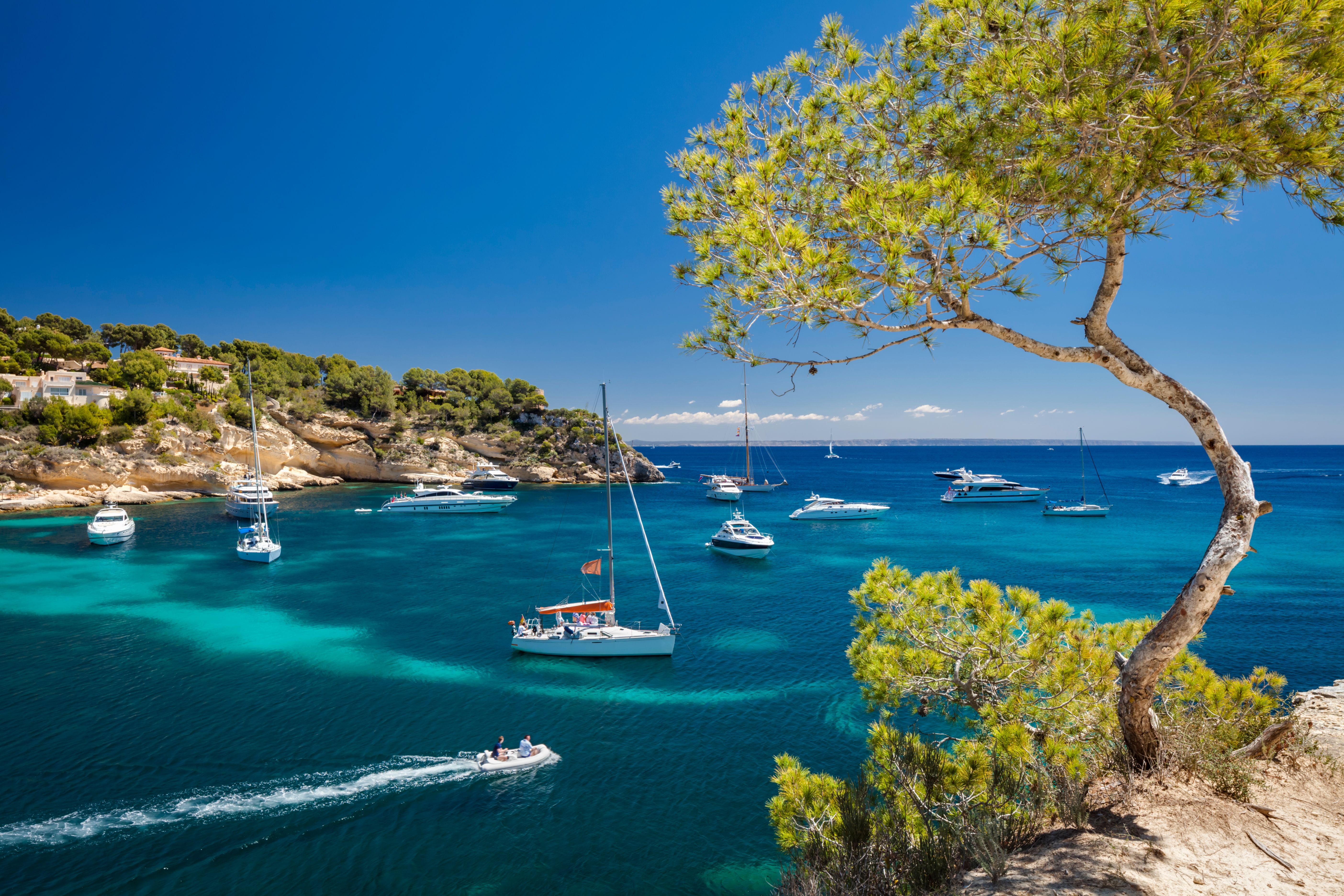 Bucht Cala Portals Vells mit Yachten und Segelbooten auf türkisblauem Wasser, umgeben von Pinien.