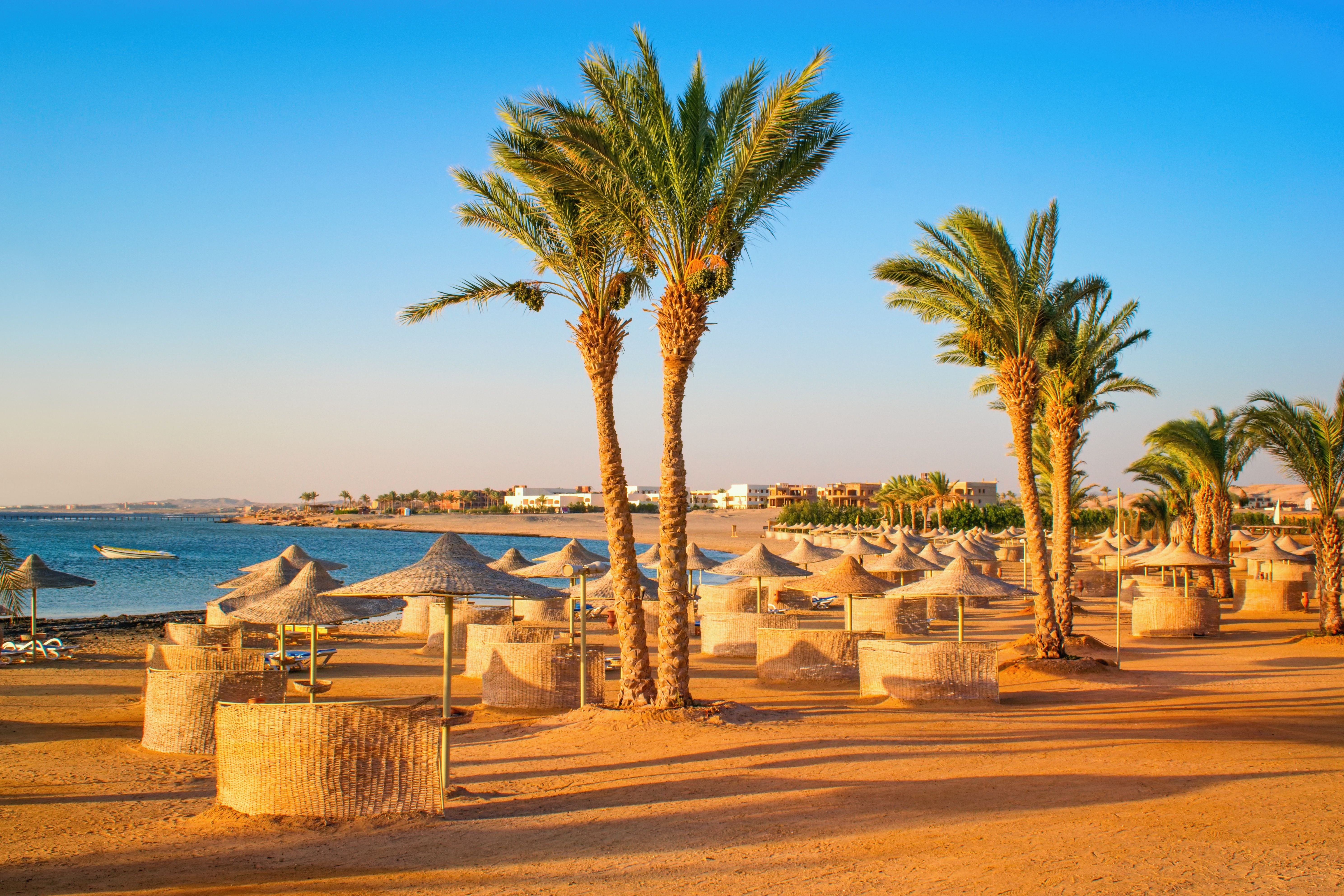 Sandstrand mit Palmen und Strohdach-Sonnenschirmen am Roten Meer in Ägypten.