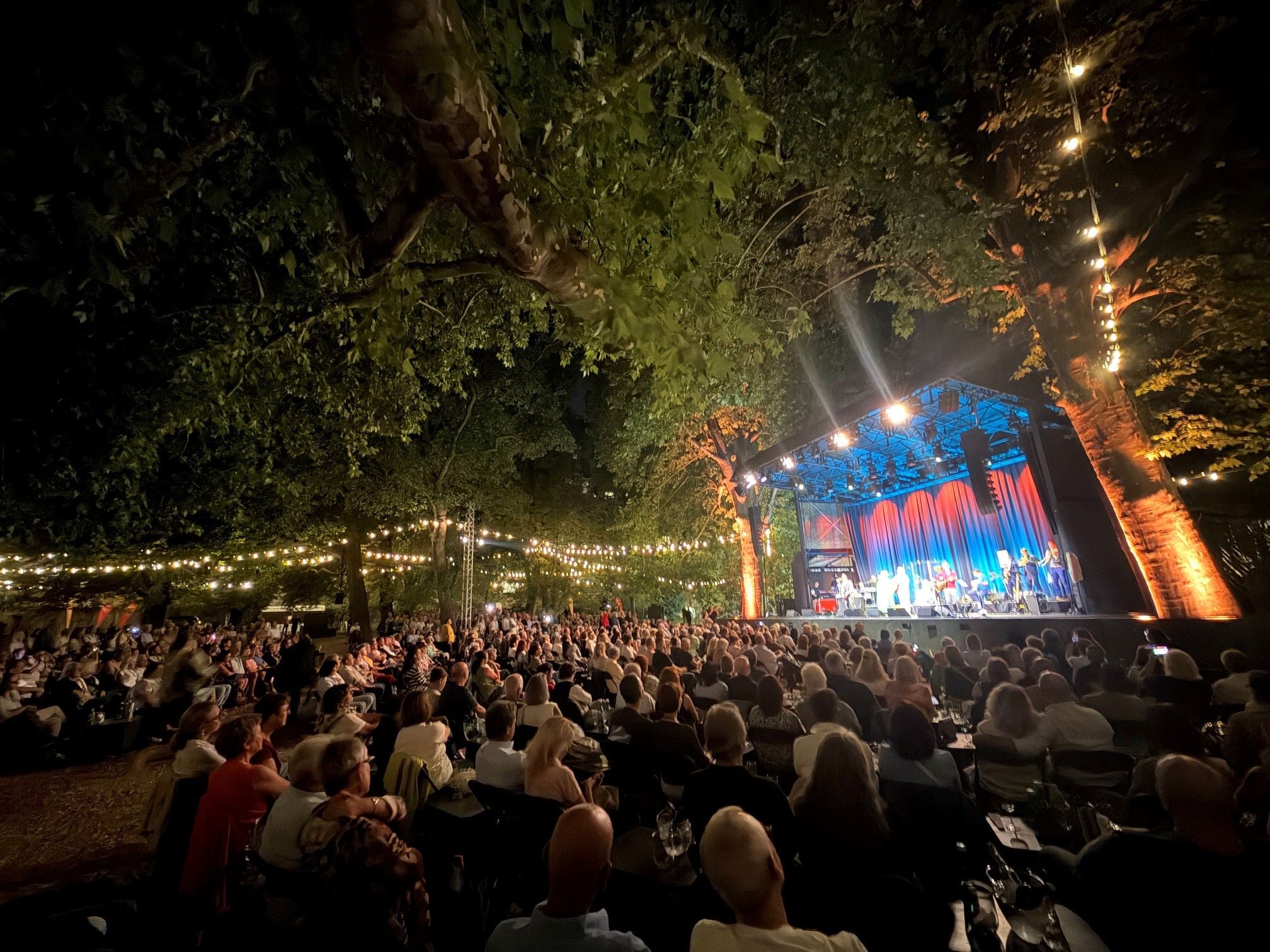 Open-Air-Konzert bei Nacht, viele Zuschauer sitzen vor einer beleuchteten Bühne im Park.