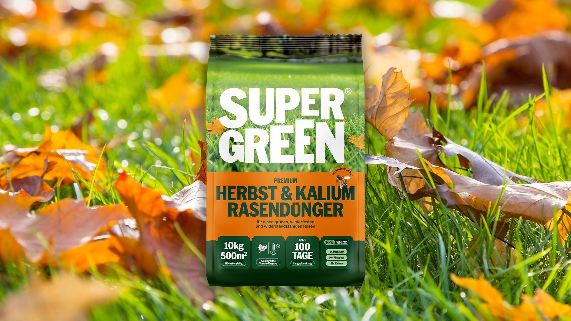 Packung Supergreen Rasendünger steht auf herbstlichem Rasen mit buntem Laub.