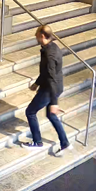 Eine Person geht eine steinerne Treppe mit Geländer hinauf.