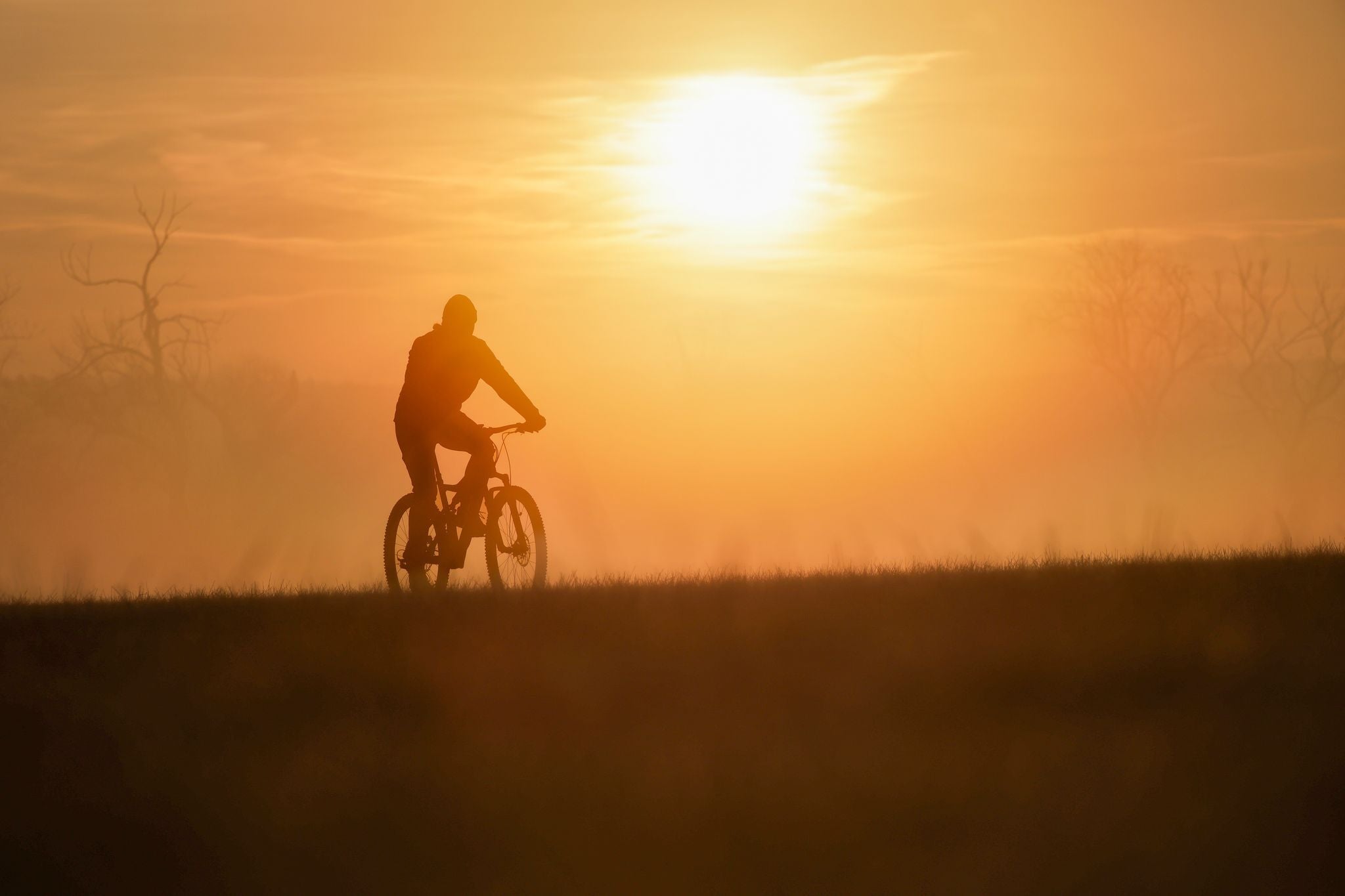 Ein Radfahrer fährt morgens im Nebel, die aufgehende Sonne scheint hell am Himmel.