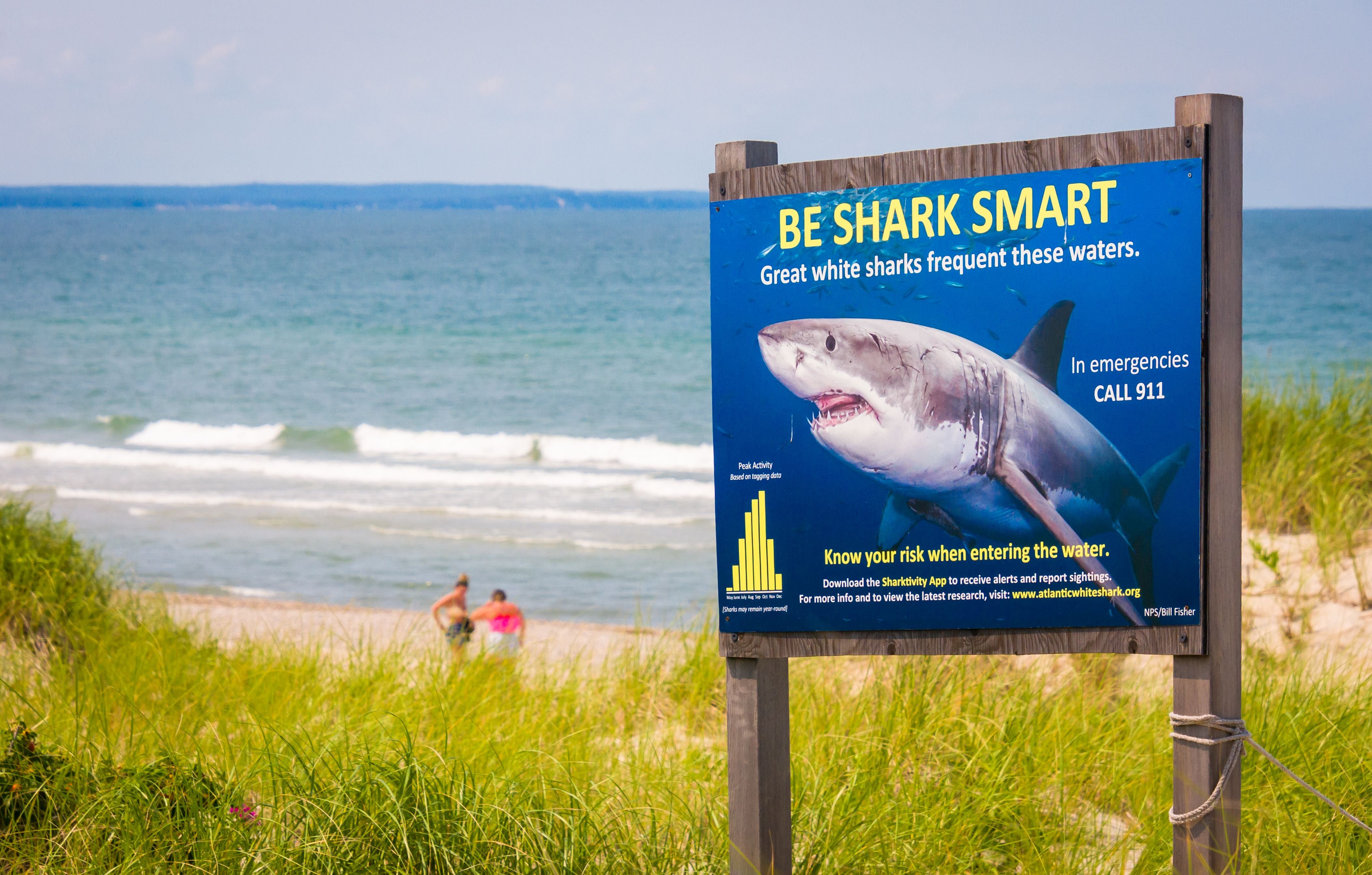 Großes Warnschild vor Haien am Strand mit zwei Frauen und Meer im Hintergrund.