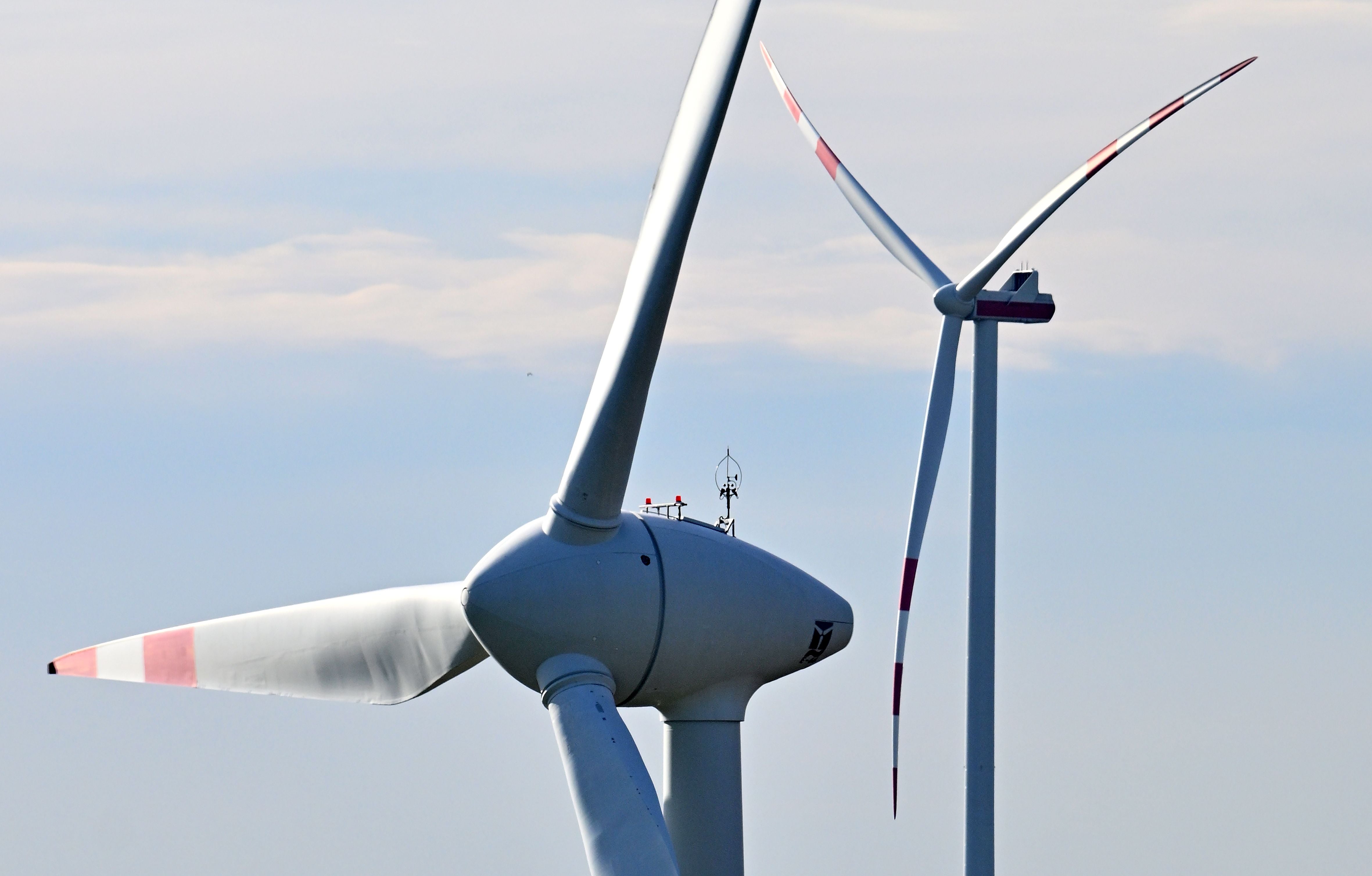 Keine Windräder wegen Adler.
