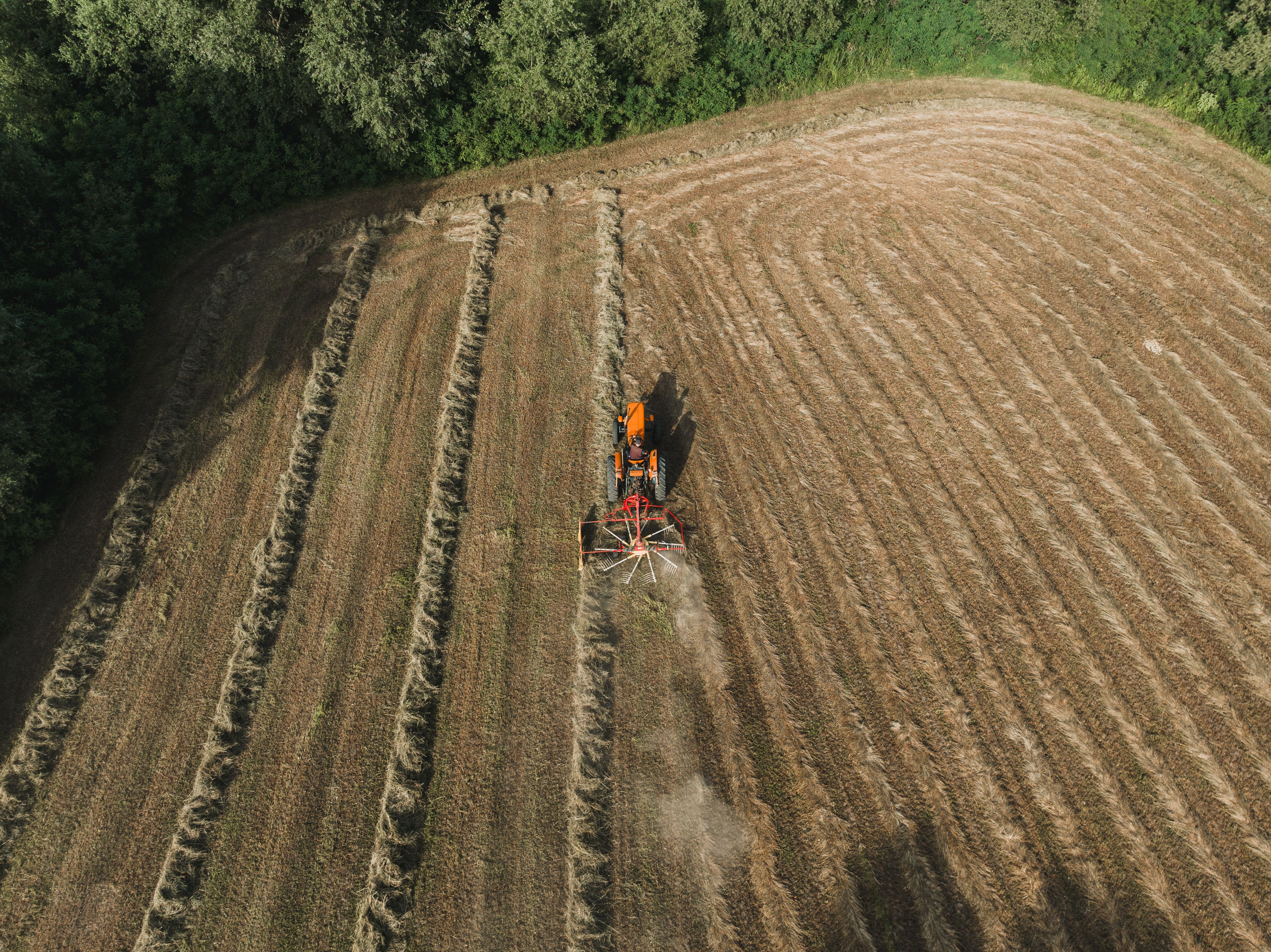 Ein Traktor mit Kreiselwender auf einem Feld.