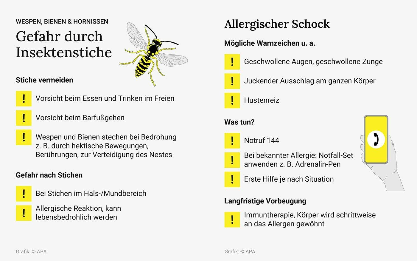 Infografik zu Insektenstichen, Vermeidung, allergischem Schock und Maßnahmen bei Wespen, Bienen, Hornissen.