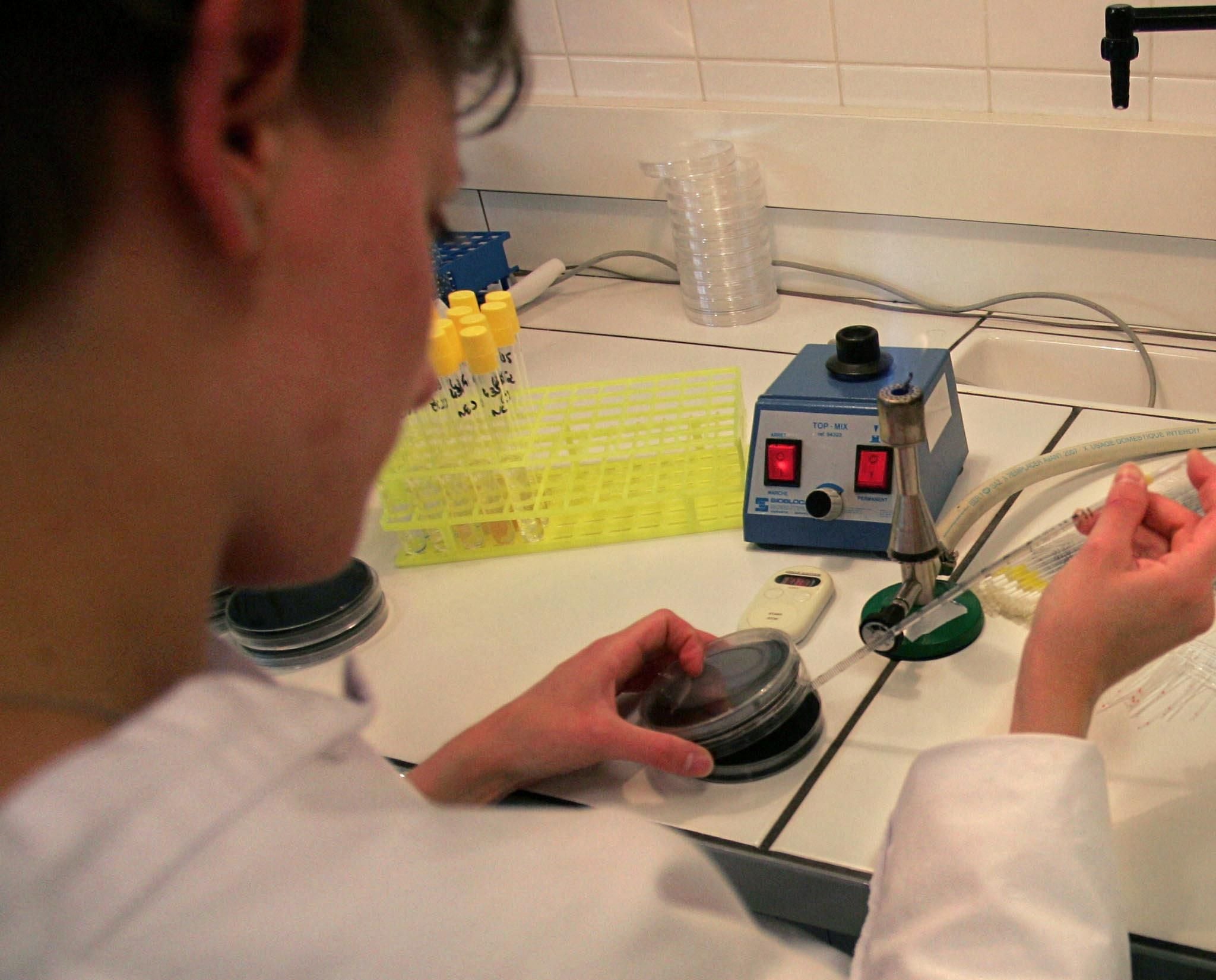 Laborantin bereitet im Labor Proben zur Analyse von Legionellen in Wasserproben vor.