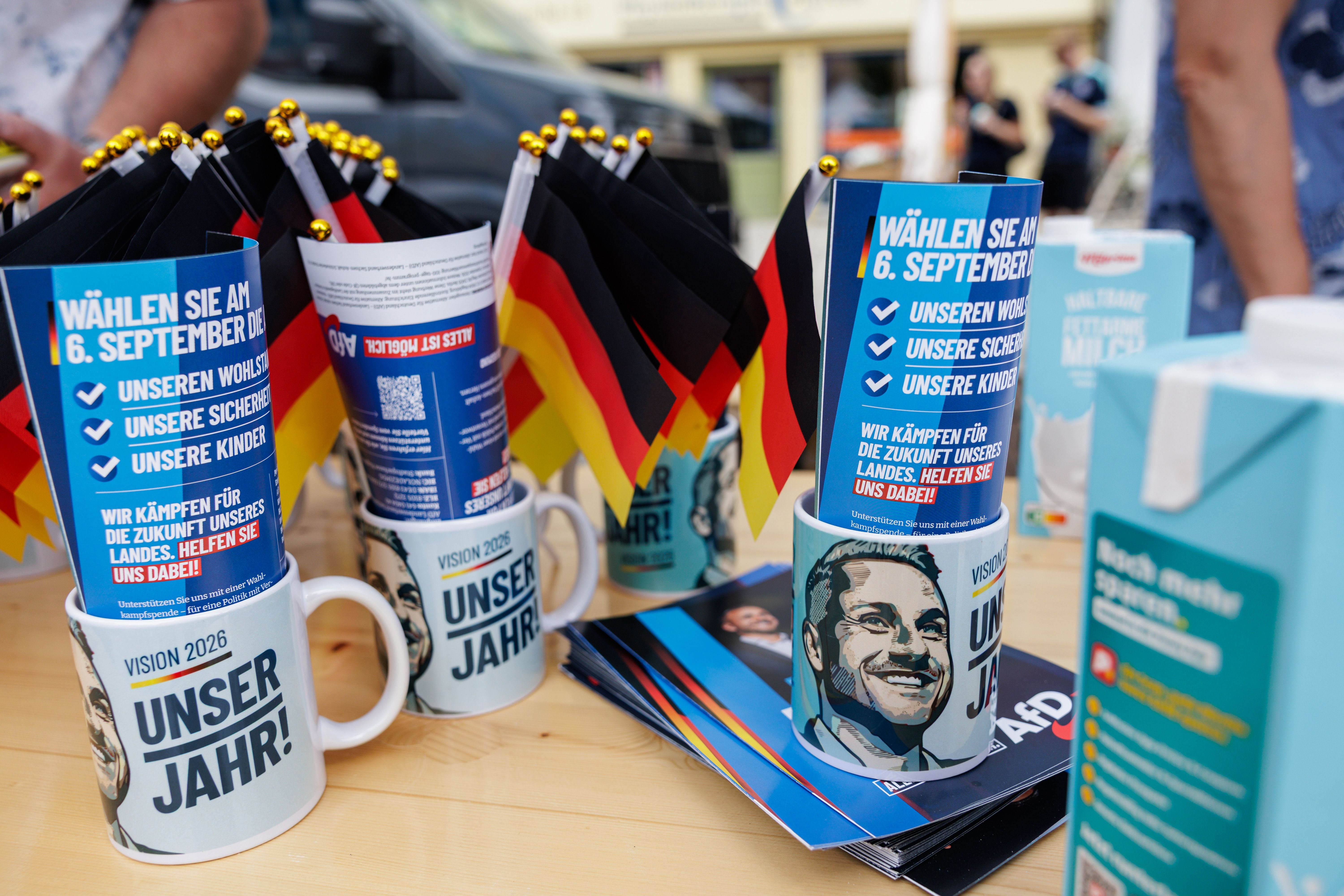 AfD-Werbematerial mit Tassen, Flyern und kleinen Deutschlandflaggen auf einem Tisch.