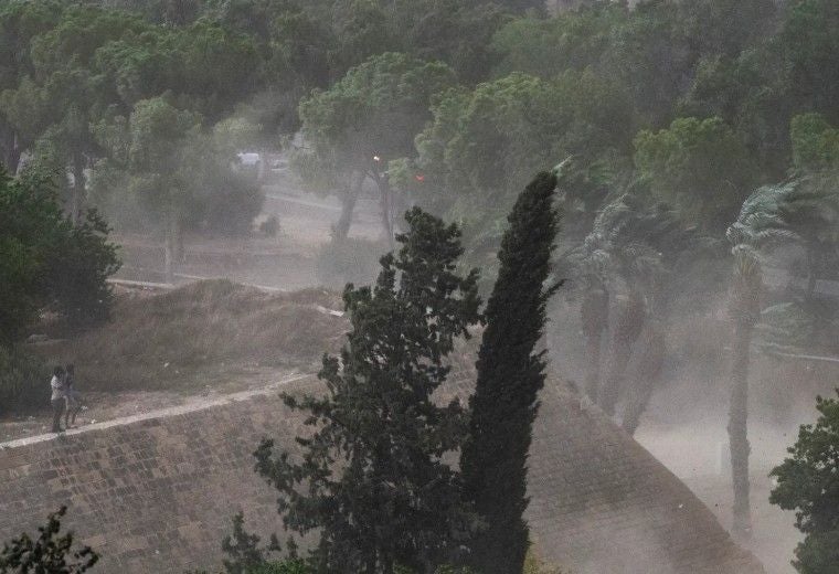 Starker Wind wirbelt Staub auf, während Bäume sich im Sturm auf Zypern biegen.
