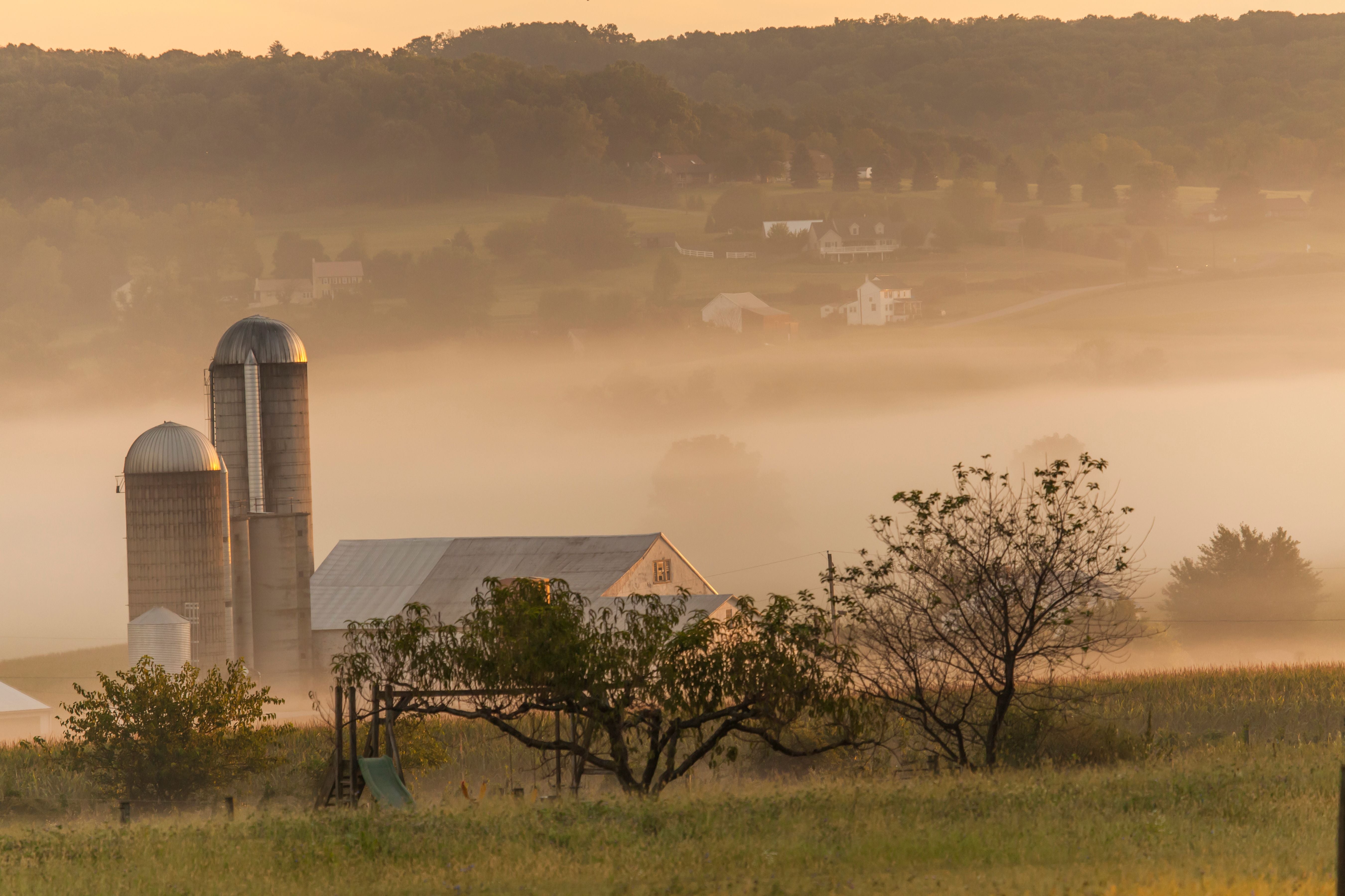 Morgendlicher Nebel umgibt Scheune und Silos auf einer ländlichen Landschaft in Pennsylvania.