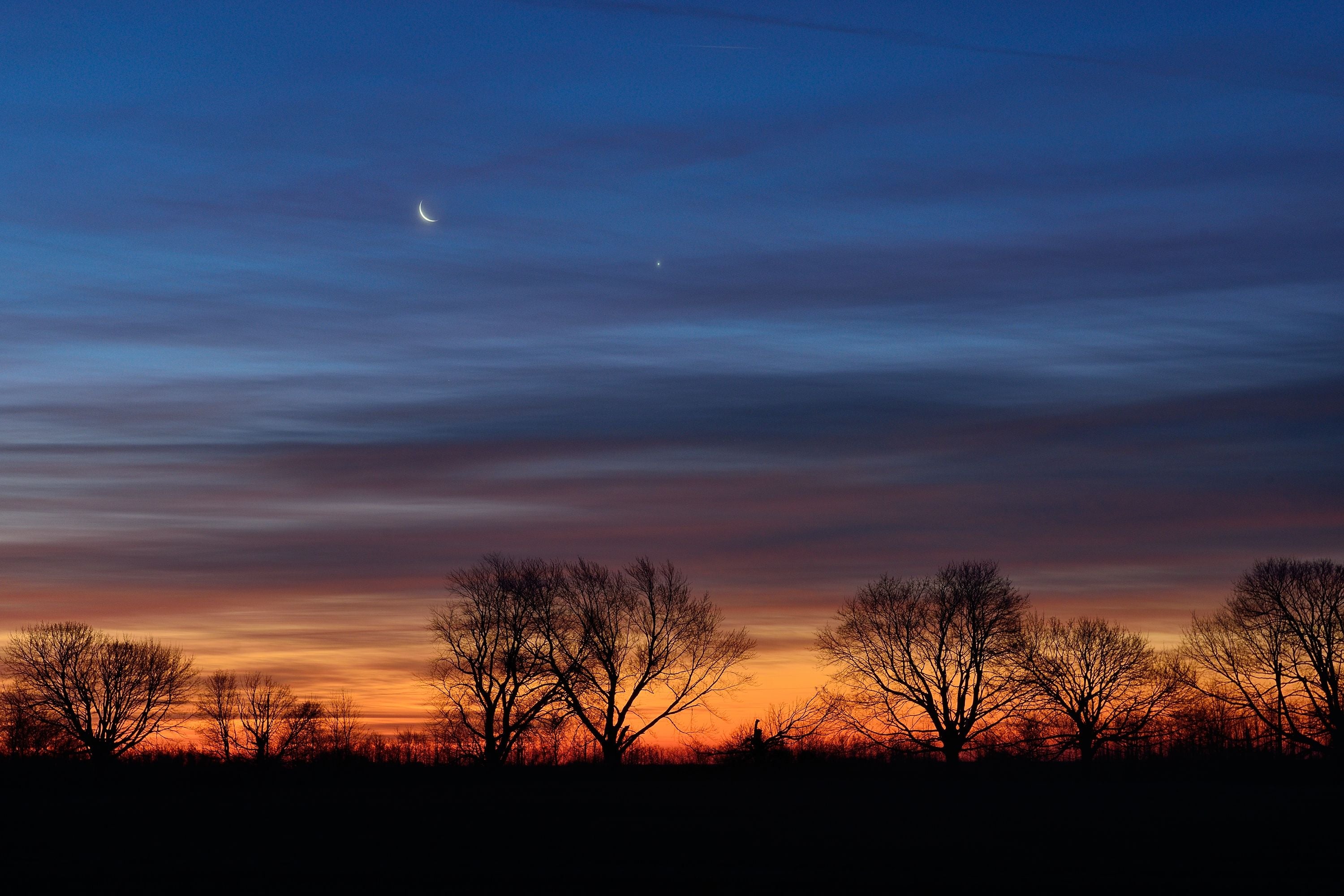 Bäume im Vordergrund bei Sonnenuntergang mit Sichelmond und buntem Himmel.
