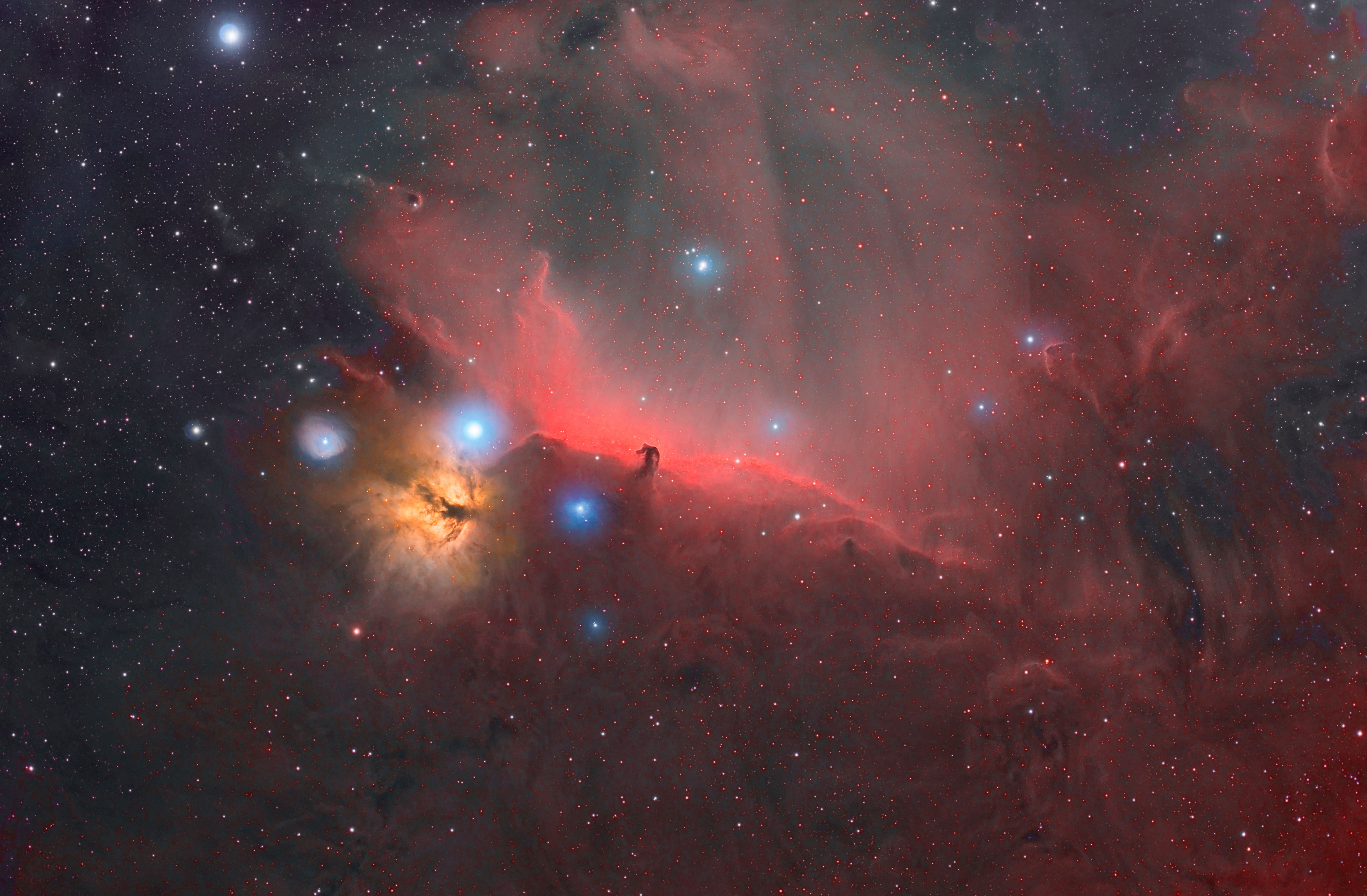 Die Flammennebel- und Pferdekopfnebel-Region im Sternbild Orion, leuchtend in roten und gelben Farben.