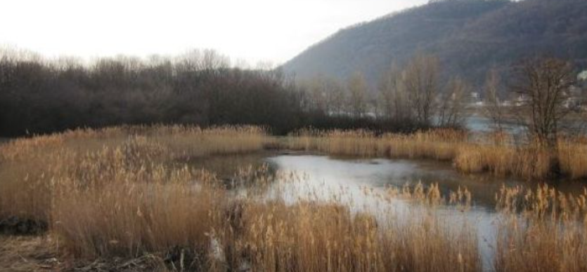 Die Leiche wurde im Naturschutzgebiet "Toter Grund" gefunden.