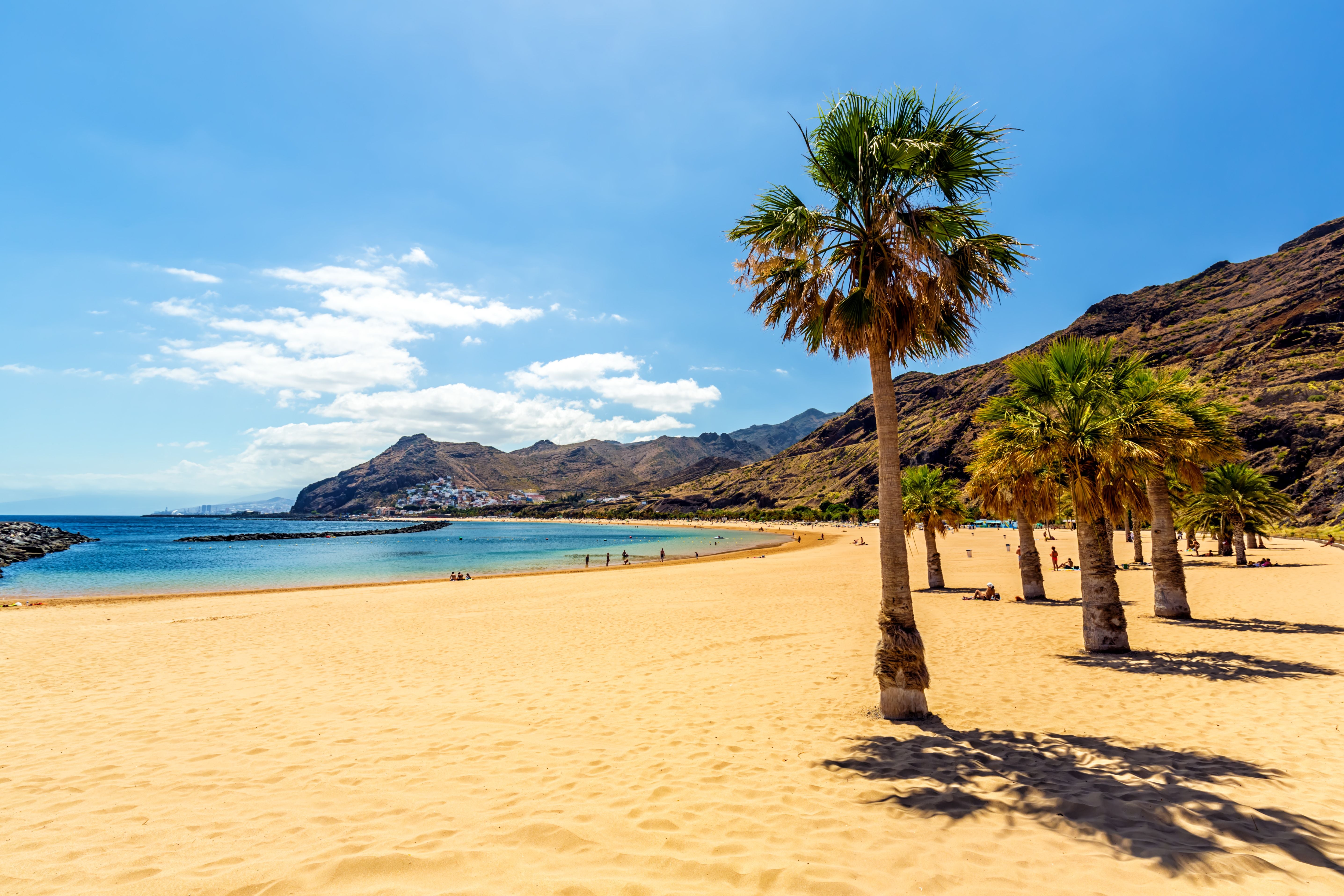 Palmen am goldenen Sandstrand Playa de las Teresitas auf Teneriffa mit Bergen im Hintergrund.