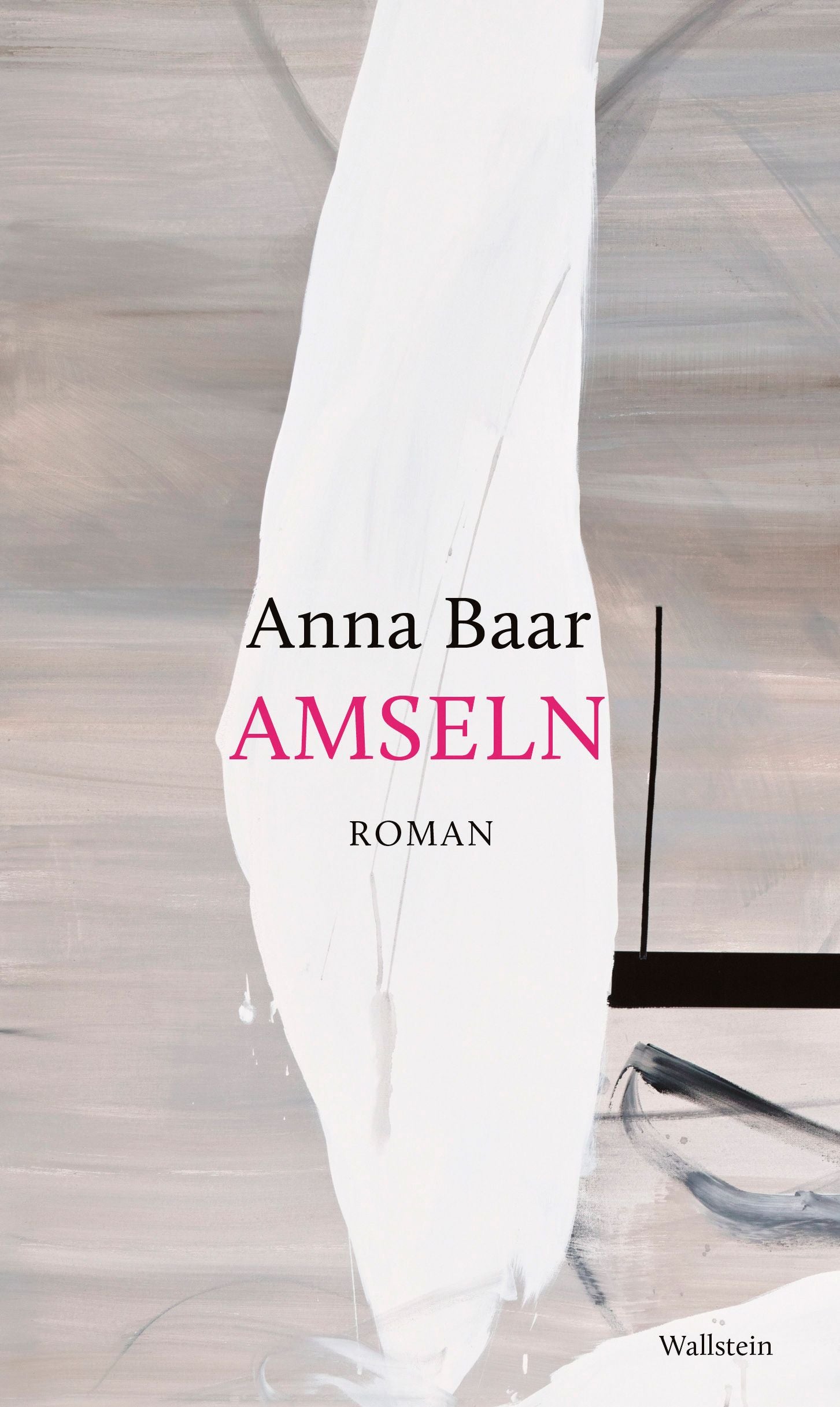 Buchcover von "Amseln" von Anna Baar mit abstraktem weißem und grauem Hintergrund.