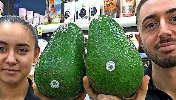 Zwei Personen halten riesige Avozilla-Avocados im Supermarkt nebeneinander.