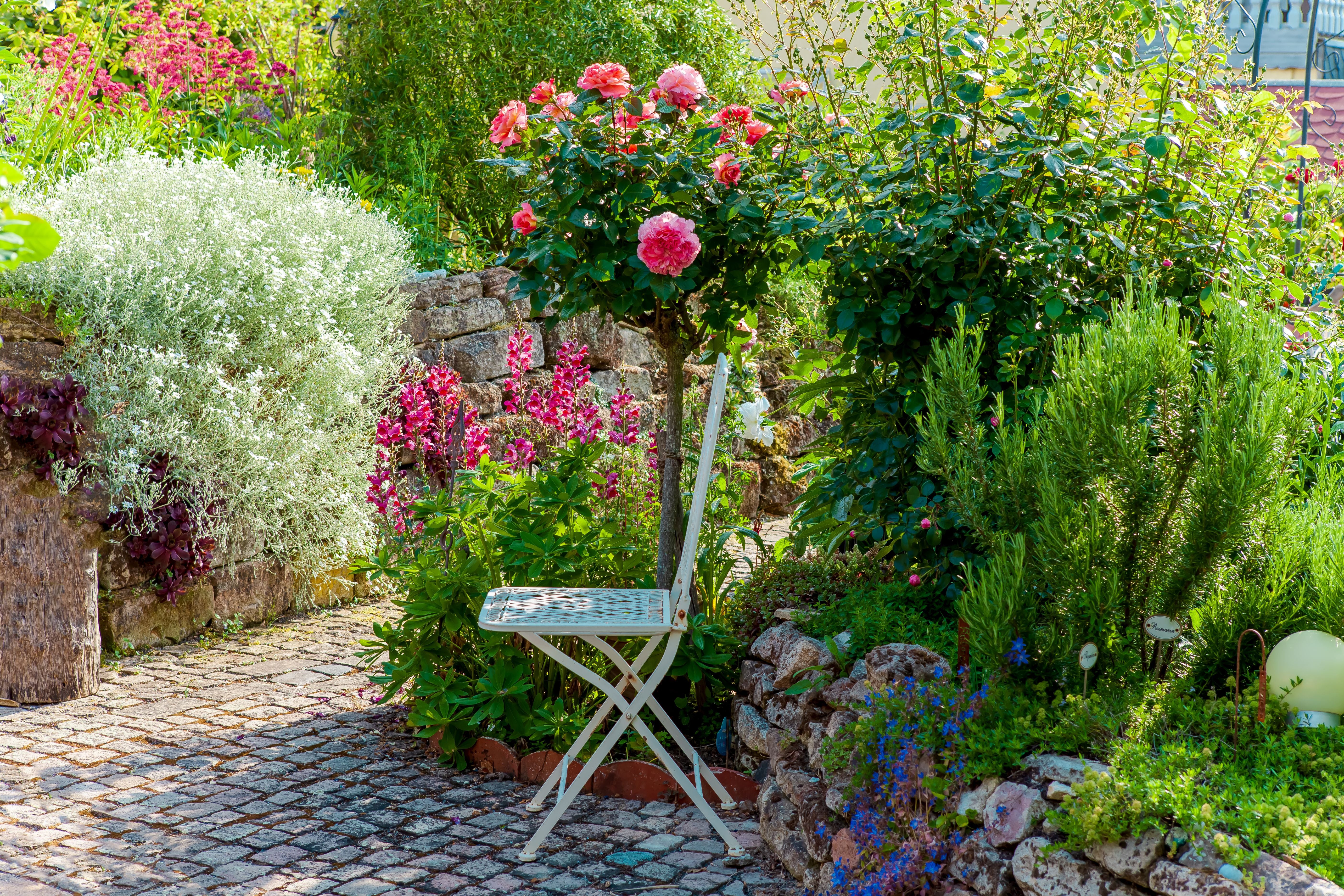 Weißer Gartenstuhl steht neben blühenden Blumen und Sträuchern in einem bunt bepflanzten Garten.