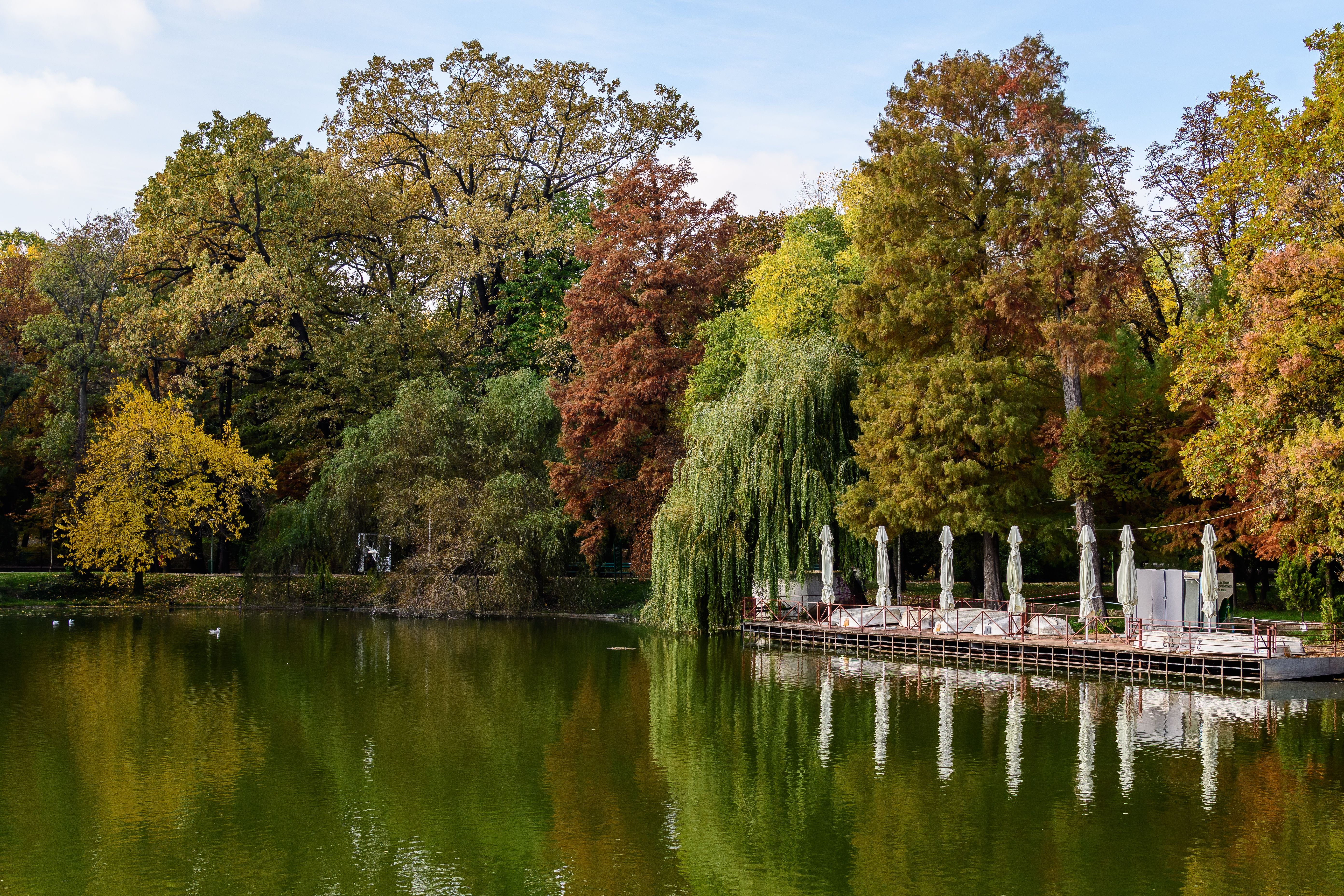 Bäume in herbstlichen Farben spiegeln sich in einem See im Carol Park in Bukarest bei Sonnenschein.
