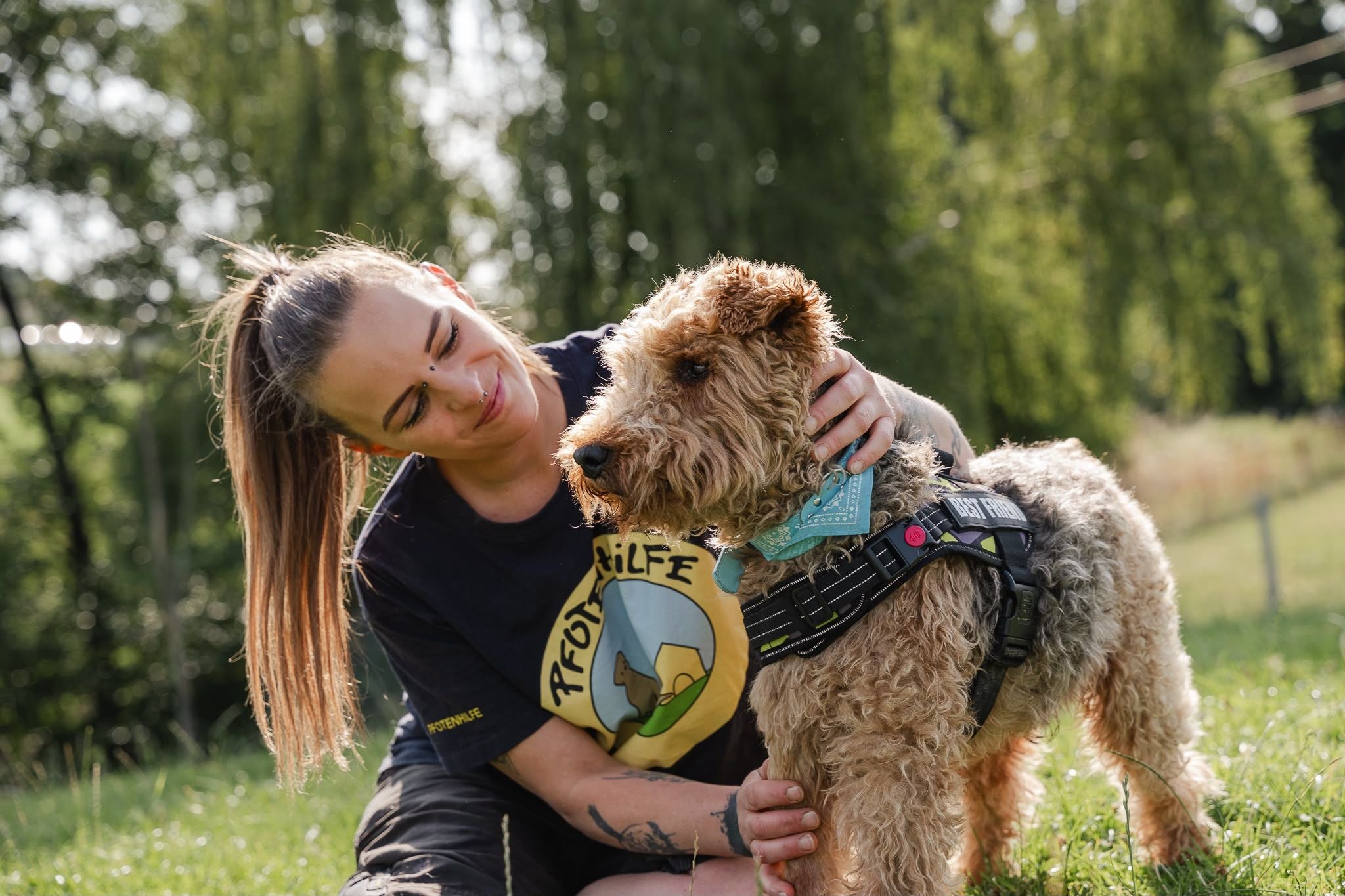 Viele Hunde werden abgegeben