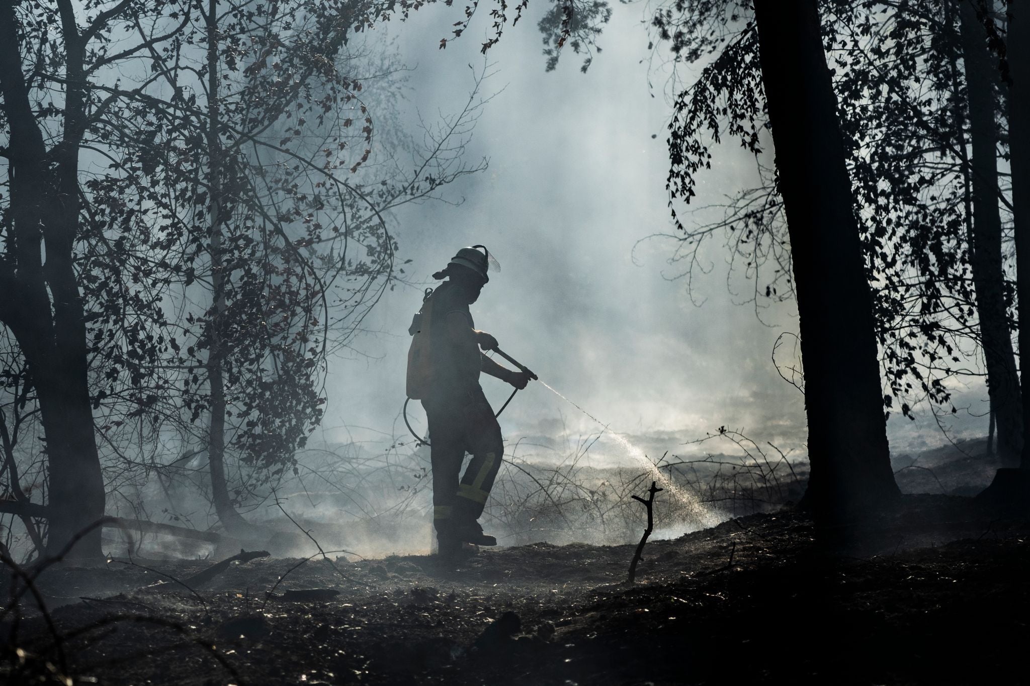 Ein Feuerwehrmann löscht mit einem Schlauch einen Waldbrand in einem verrauchten Waldstück.