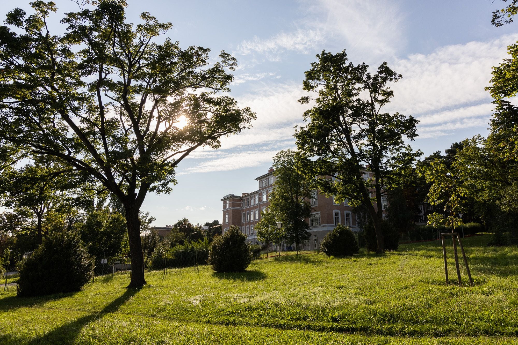 Grüne Wiese mit Bäumen und einem großen Gebäude im Hintergrund bei Sonnenschein.