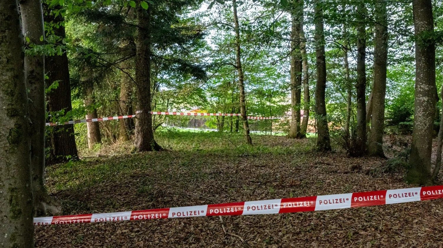 Absperrband der Polizei sperrt einen Bereich im Wald bei Vöcklabruck ab.
