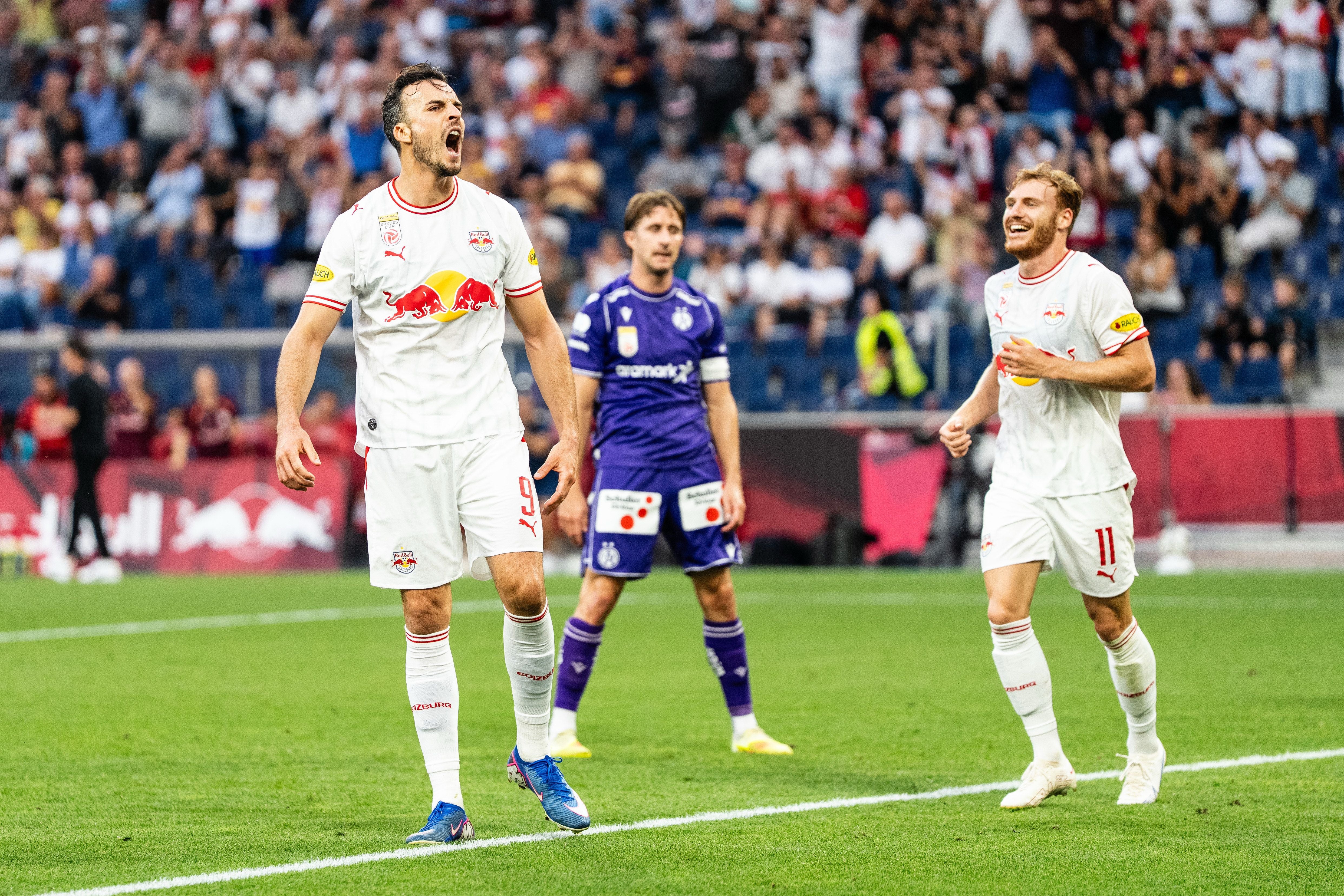 Salzburgs Königs-Transfer: Haris Tabakovic.