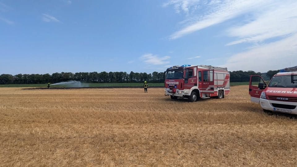 Vegetationsbrand gelöscht.
