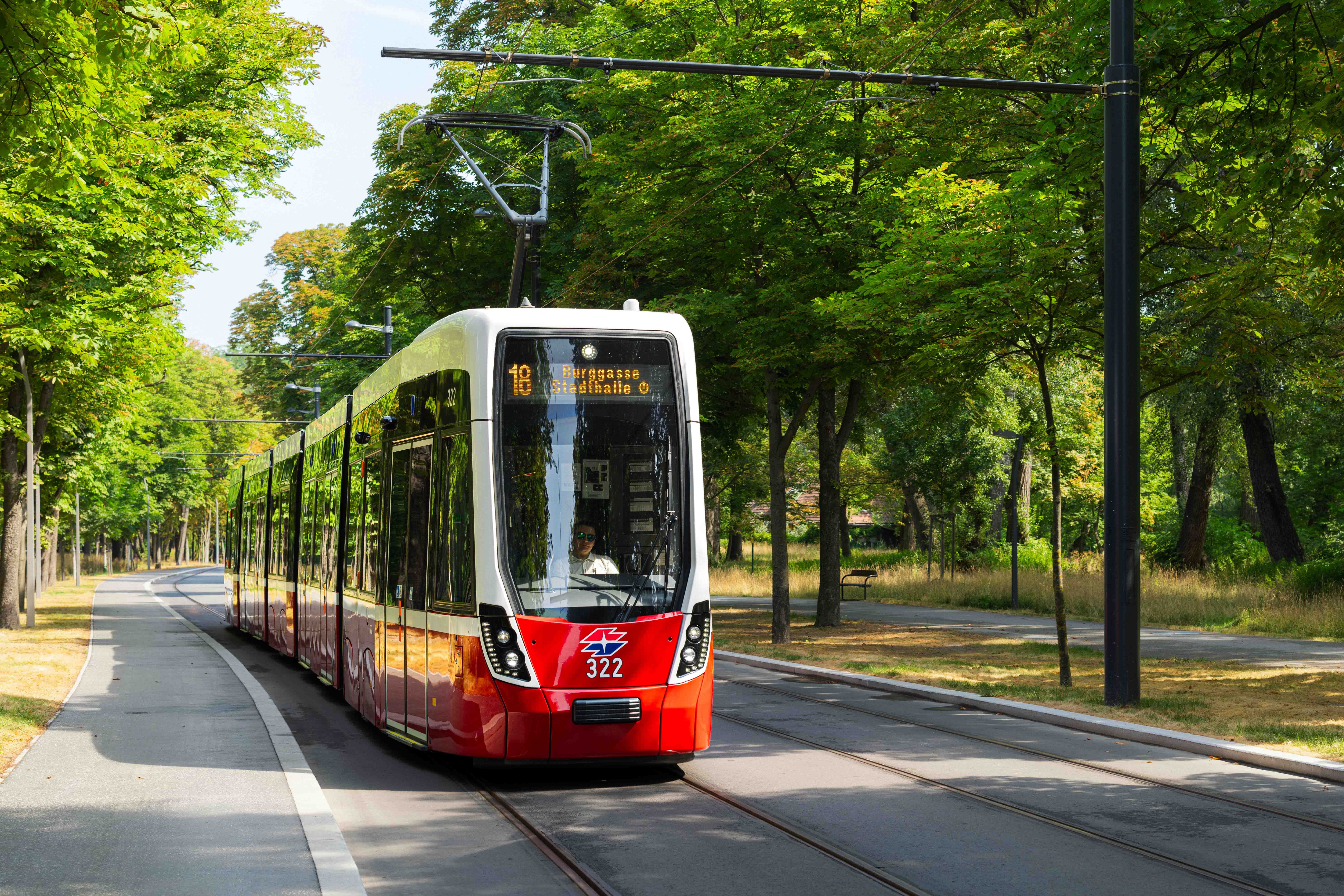 Eine moderne Straßenbahn fährt durch eine grüne Allee auf der Linie 18 Richtung Burggasse.