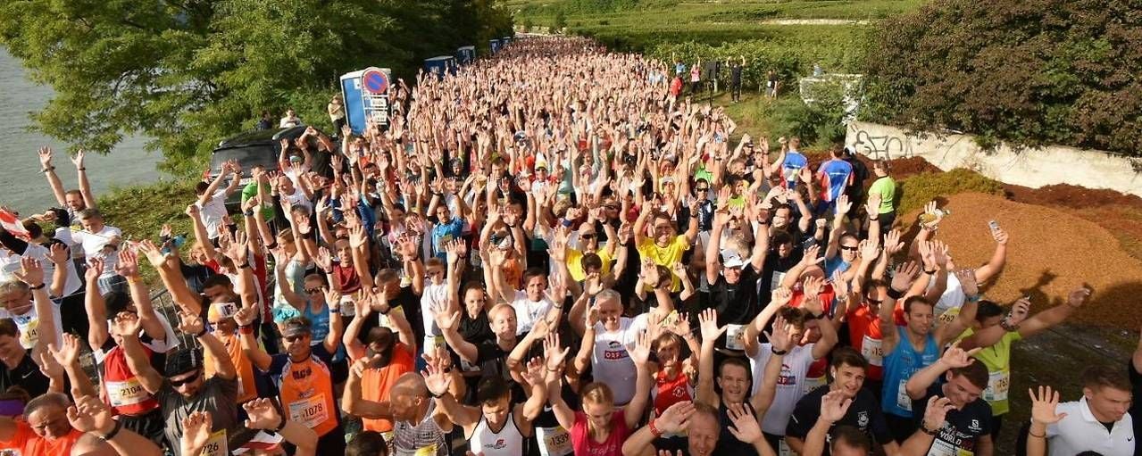 Nach einem gelungenen Jubiläum im Vorjahr geht der Wachau-Marathon am 13. September in seine 26. Auflage.
