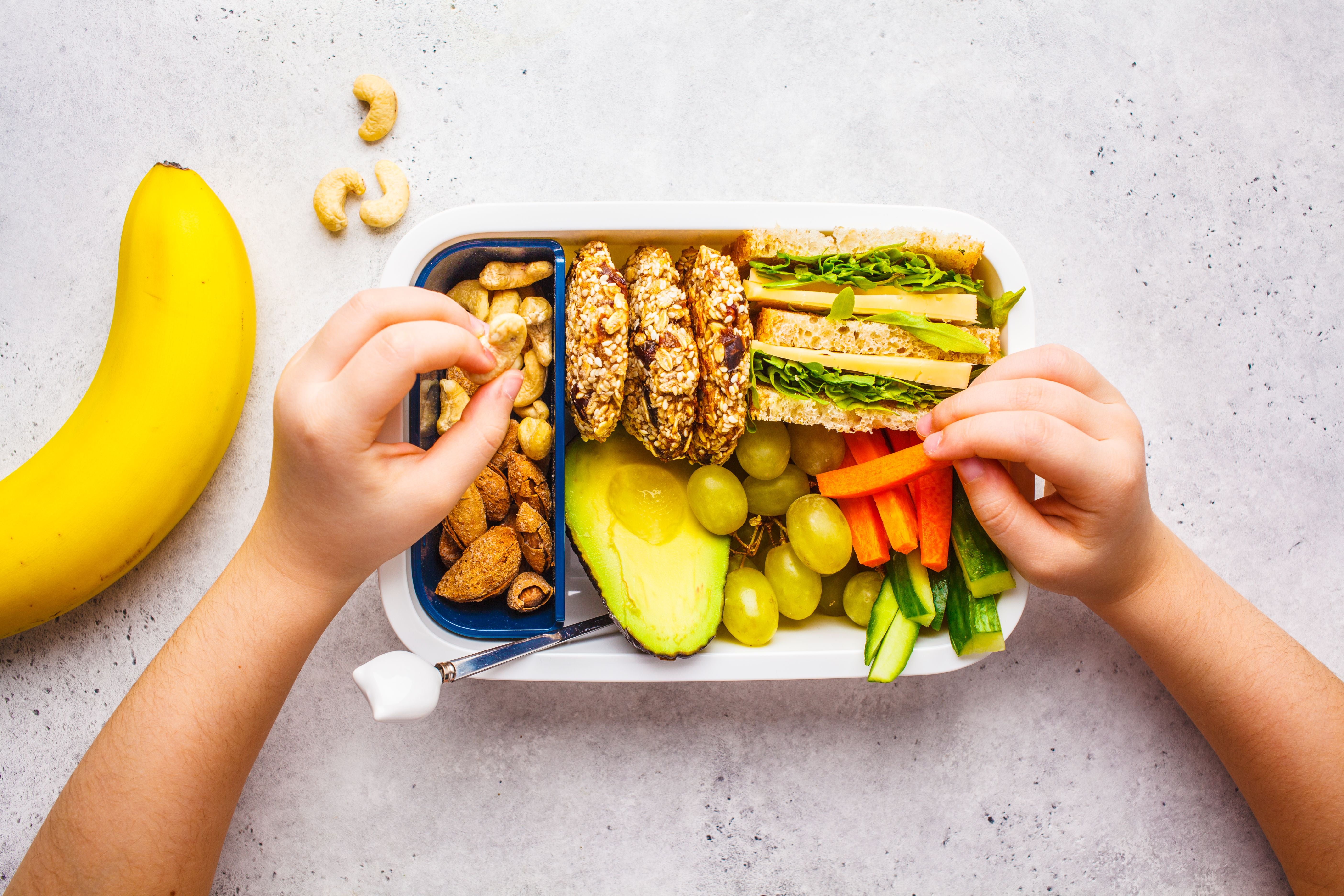 Kinderhände greifen nach Nüssen und Gemüse aus einer gesunden Lunchbox mit Sandwich, Obst und Avocado.