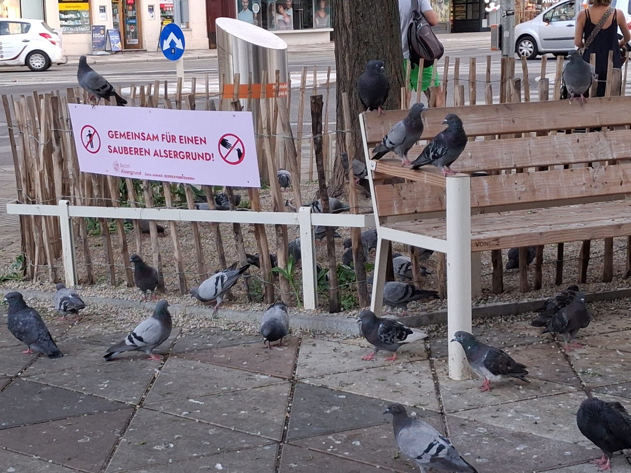 Wer will sich auf so ein Bankerl setzen?