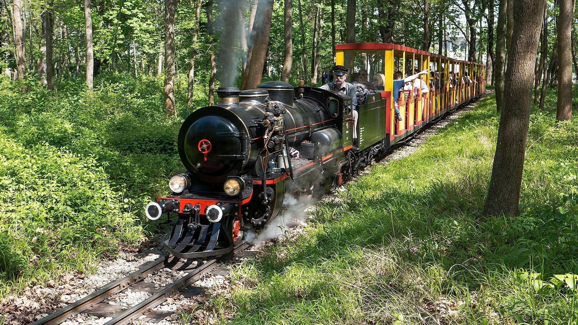 Eine Liliputbahn mit Dampflok fährt durch einen grünen Wald mit vielen Fahrgästen.