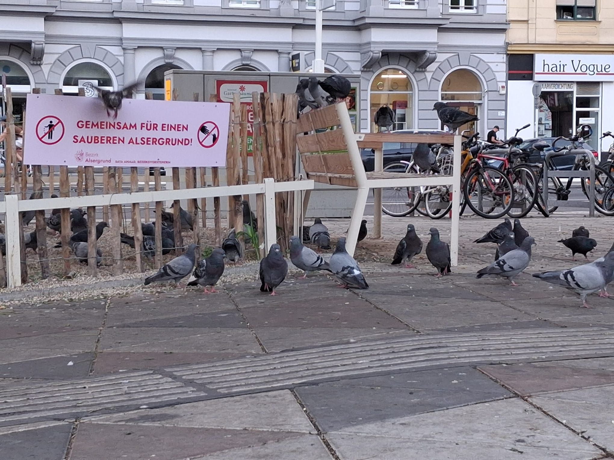 Fliegt die Taube auf einen zu, muss man sich regelrecht bücken.