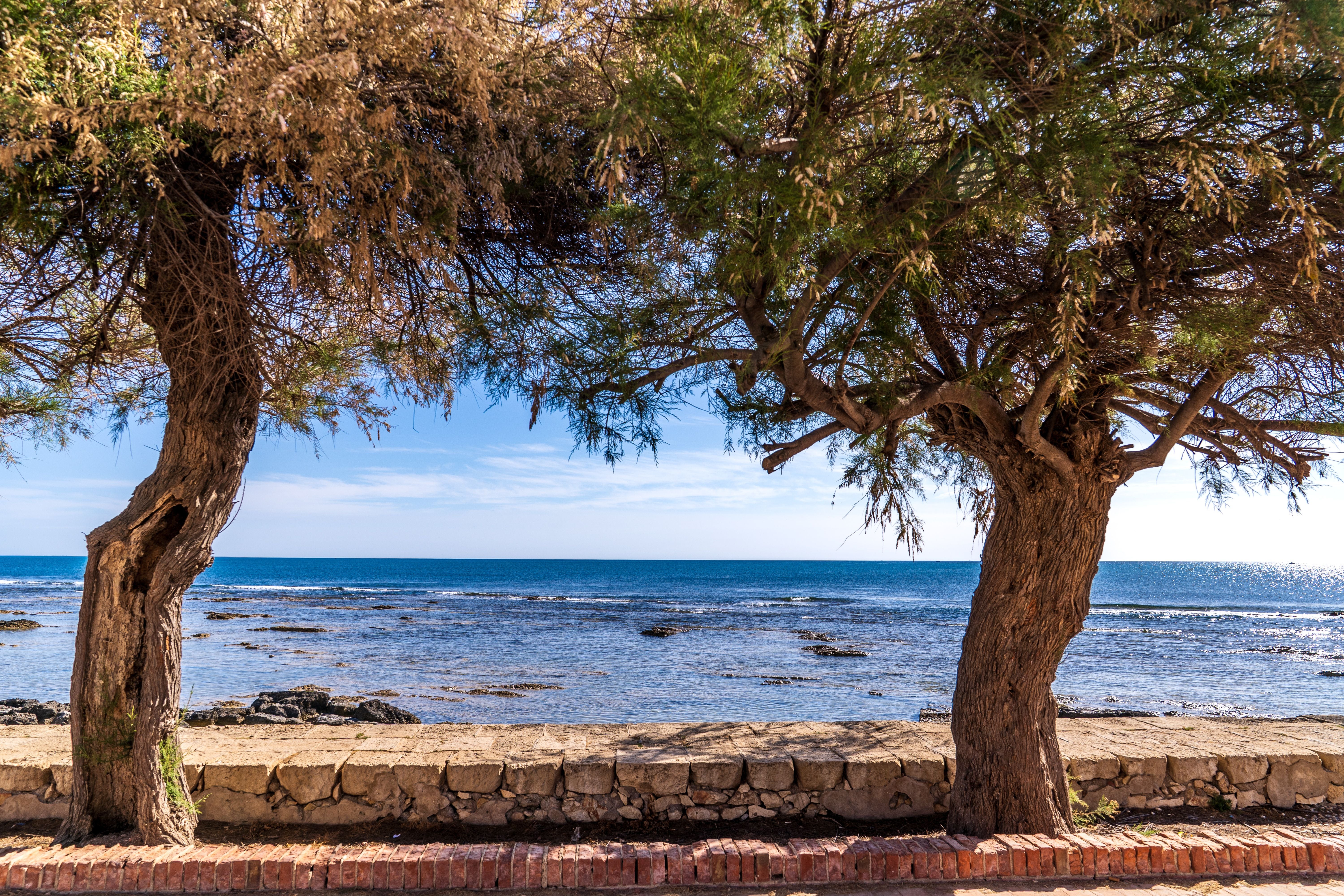 Zwei Tamarisken rahmen das blaue Meer von Marzamemi in Sizilien unter sonnigem Himmel ein.
