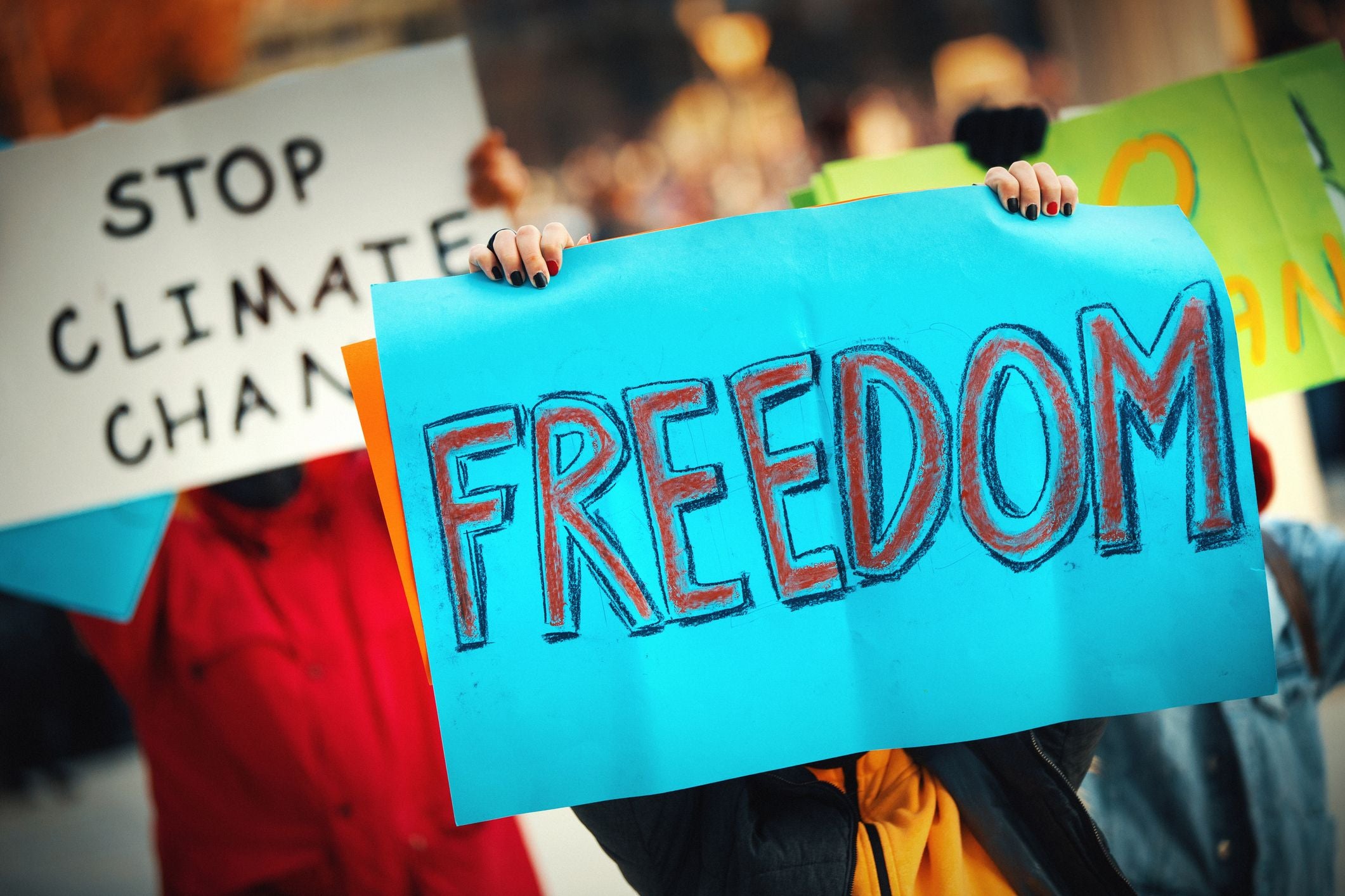 Demonstrierende halten Schilder mit „FREEDOM“ und „STOP CLIMATE CHANGE“ auf einer Kundgebung hoch.